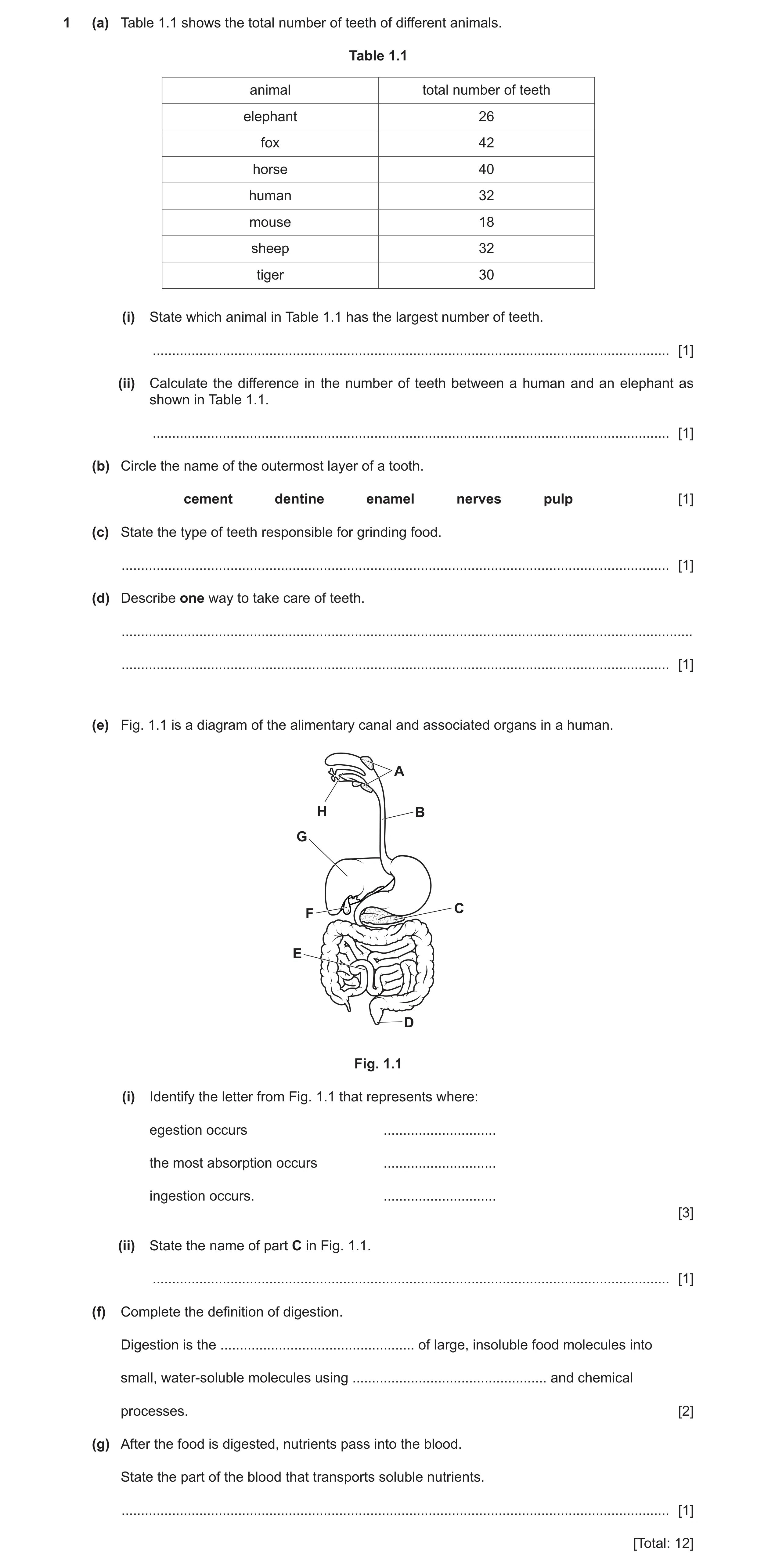 Question 7: (a) Table 1.1 shows the total number of teeth of different animals. Table 1.1 animal total number of teeth elephant 26 fox 42 horse 40 huma…