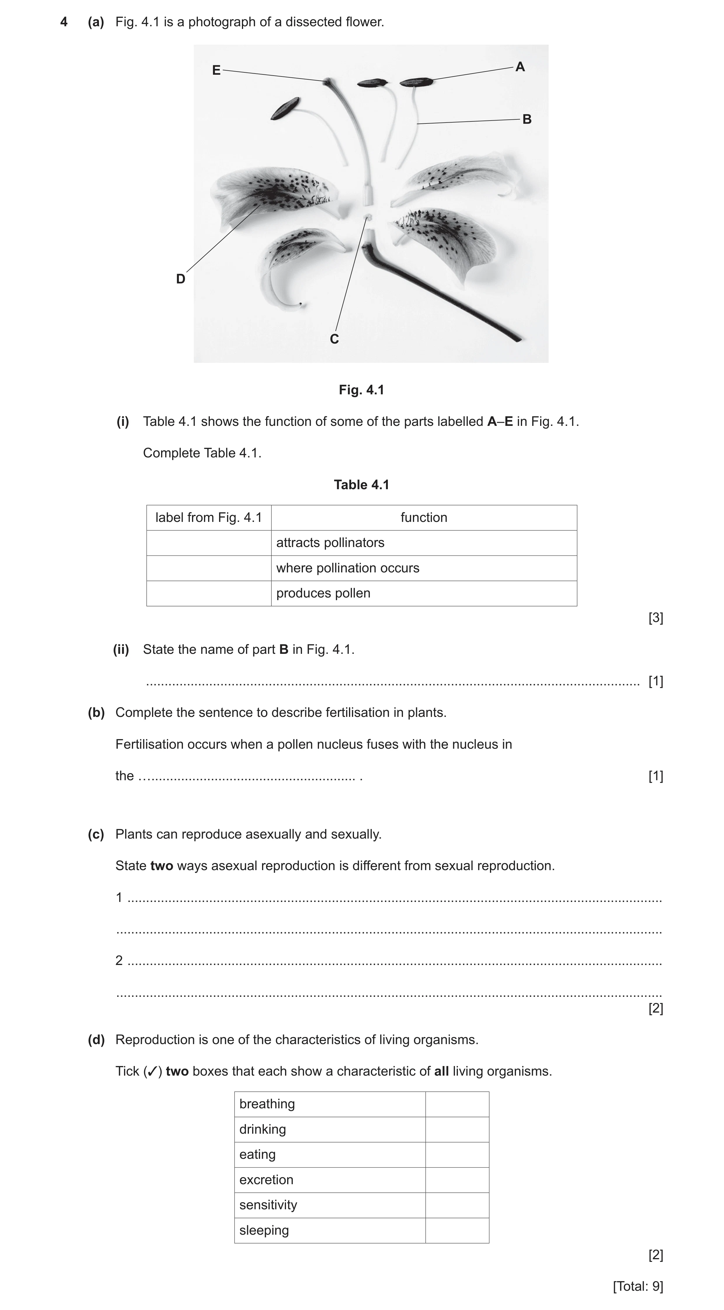 Question 10: (a) Fig. 4.1 is a photograph of a dissected flower. E A B D C Fig. 4.1 (i) Table 4.1 shows the function of some of the parts labelled A–E i…