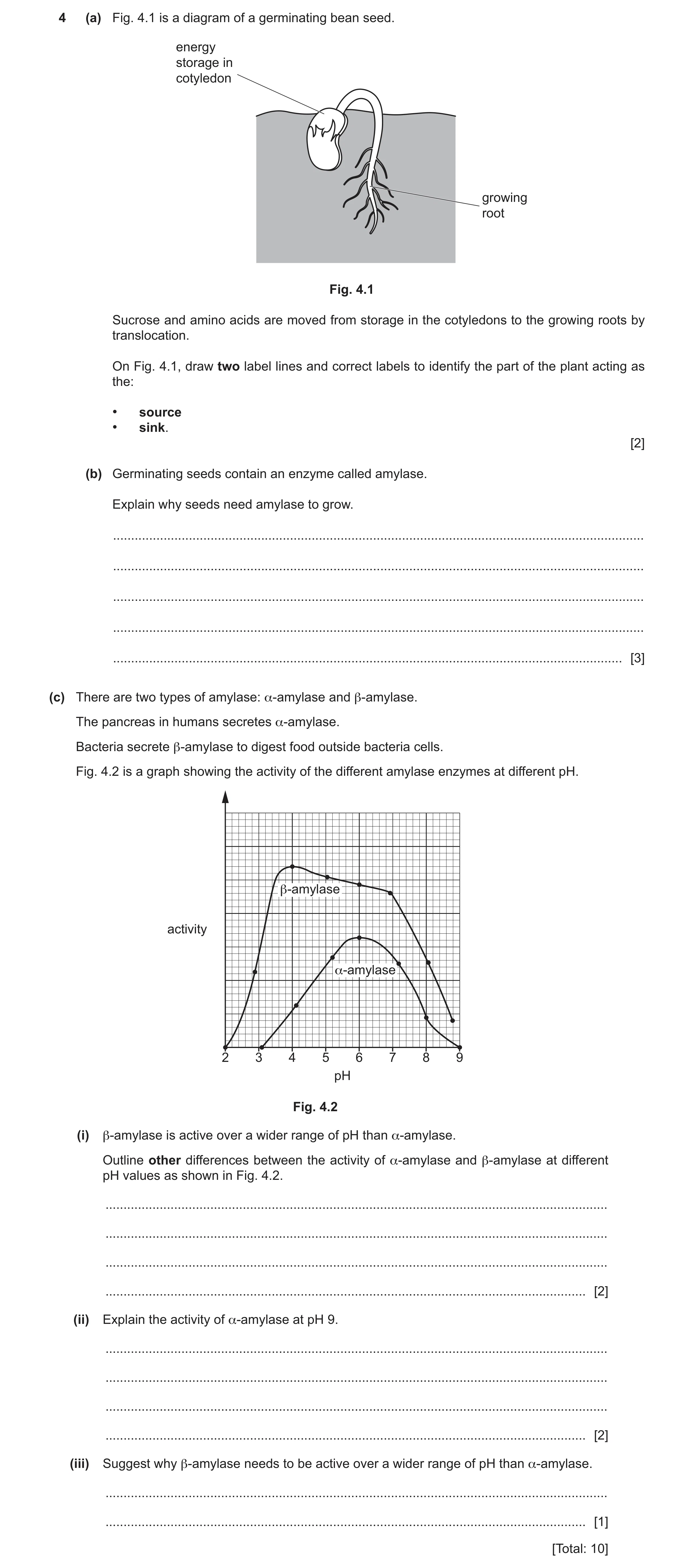 Question 17: (a) Fig. 4.1 is a diagram of a germinating bean seed. energy storage in cotyledon growing root Fig. 4.1 Sucrose and amino acids are moved f…