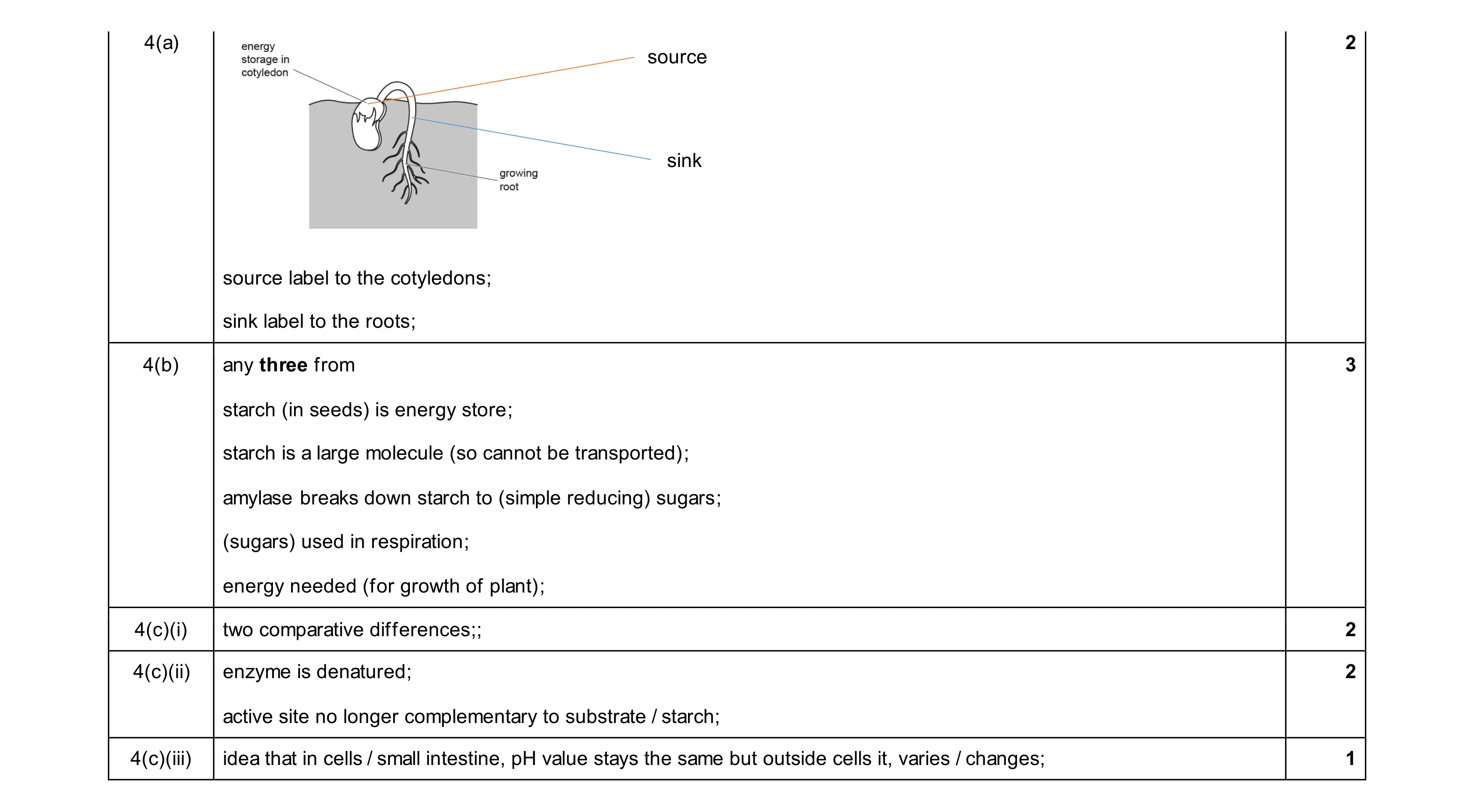 Mark scheme for question 17