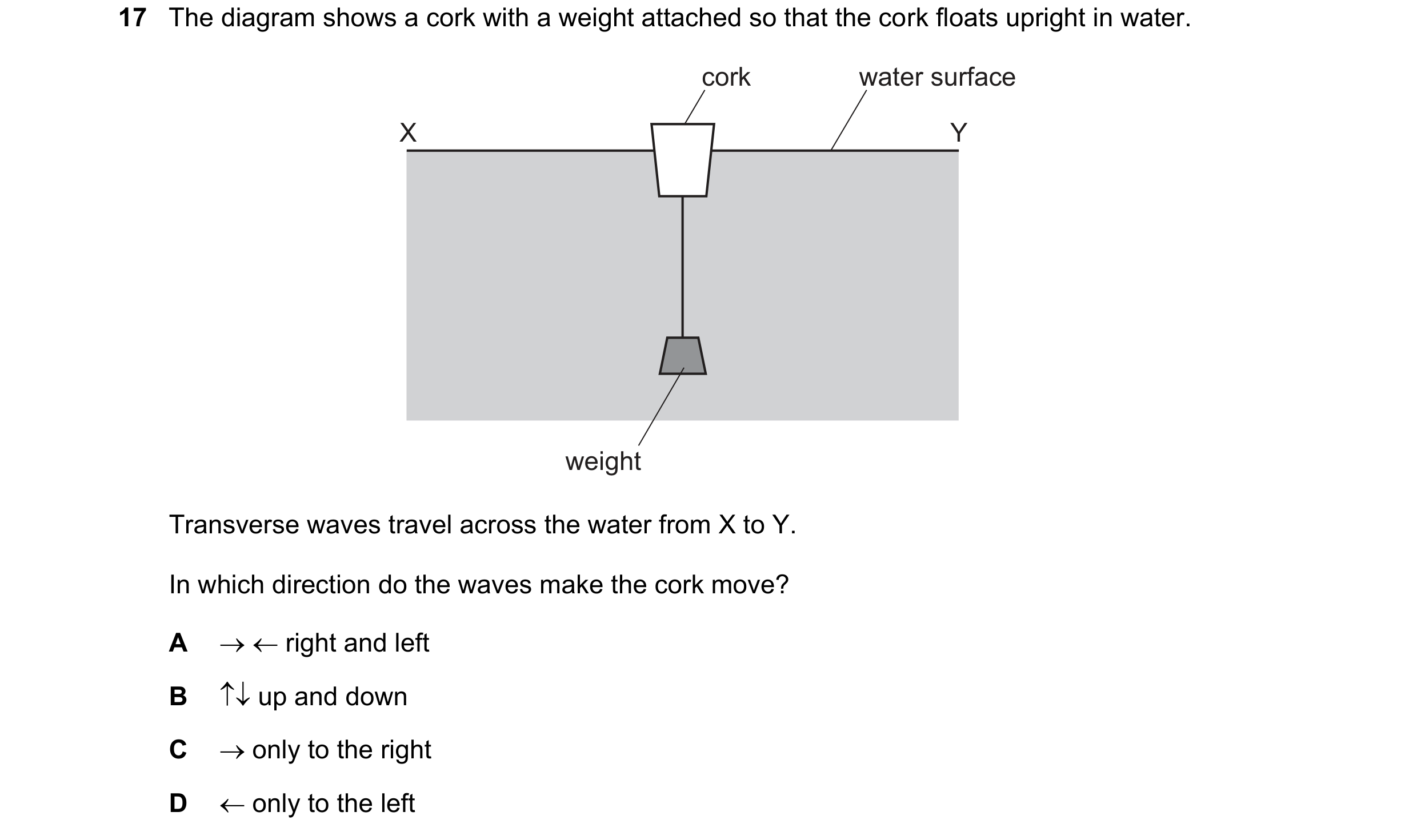 Question 39: The diagram shows a cork with a weight attached so that the cork floats upright in water. cork water surface X Y weight Transverse waves tr…