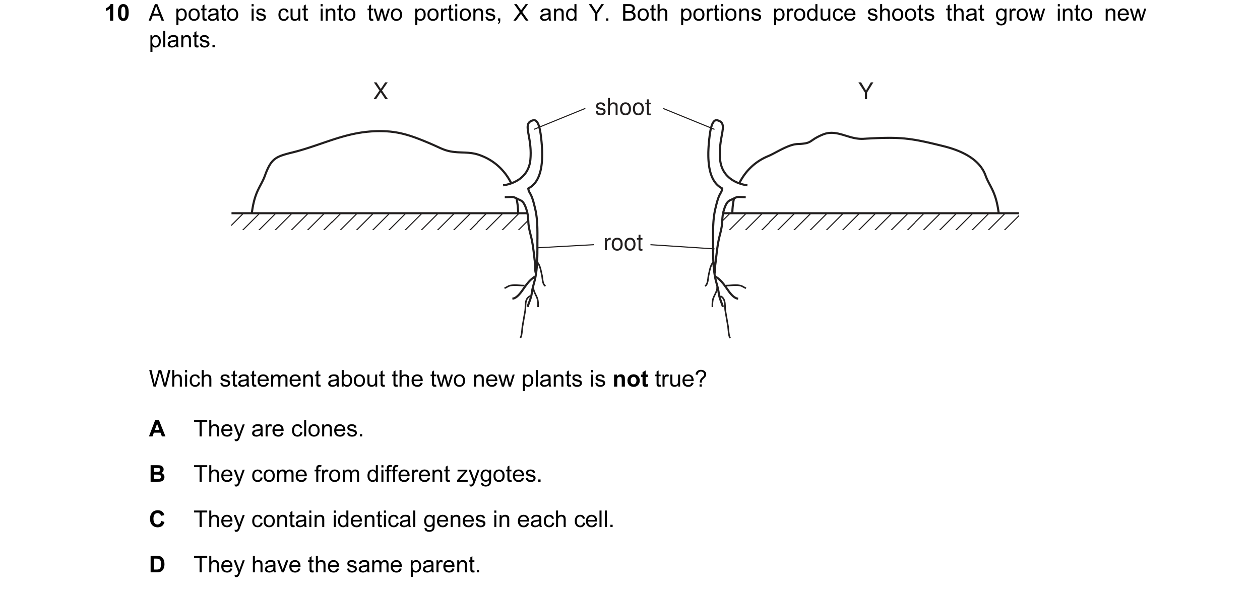Question 9: A potato is cut into two portions, X and Y. Both portions produce shoots that grow into new plants. X Y shoot root Which statement about th…
