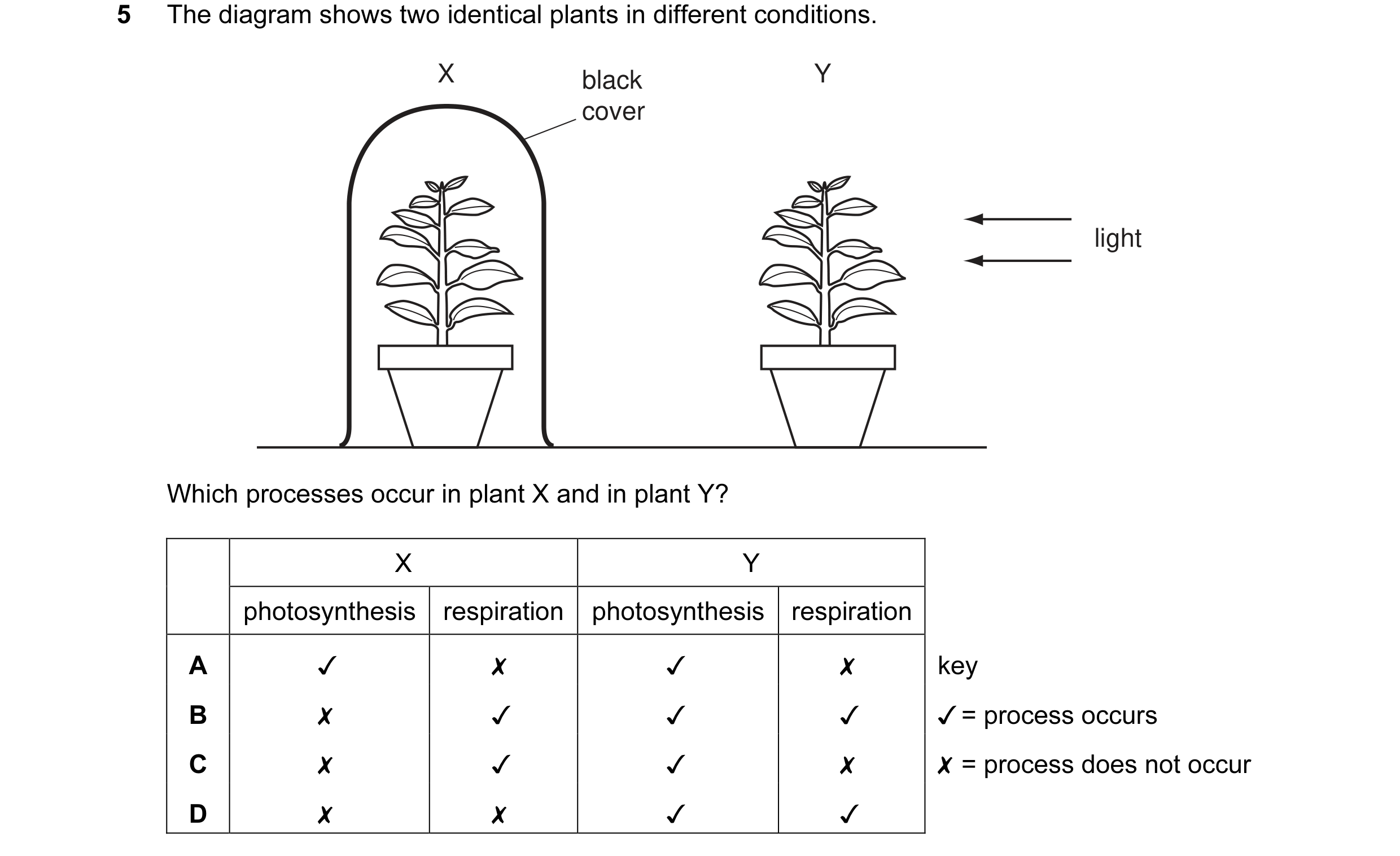 Question 9: The diagram shows two identical plants in different conditions.

X

black
cover

Which processes occur in plant X and in plant Y?

Y

light…