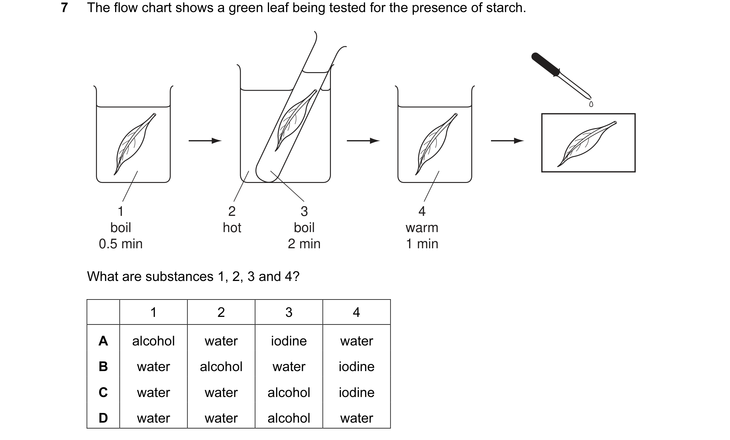 Question 7: The flow chart shows a green leaf being tested for the presence of starch. 1 2 3 4 boil hot boil warm 0.5 min 2 min 1 min What are substanc…