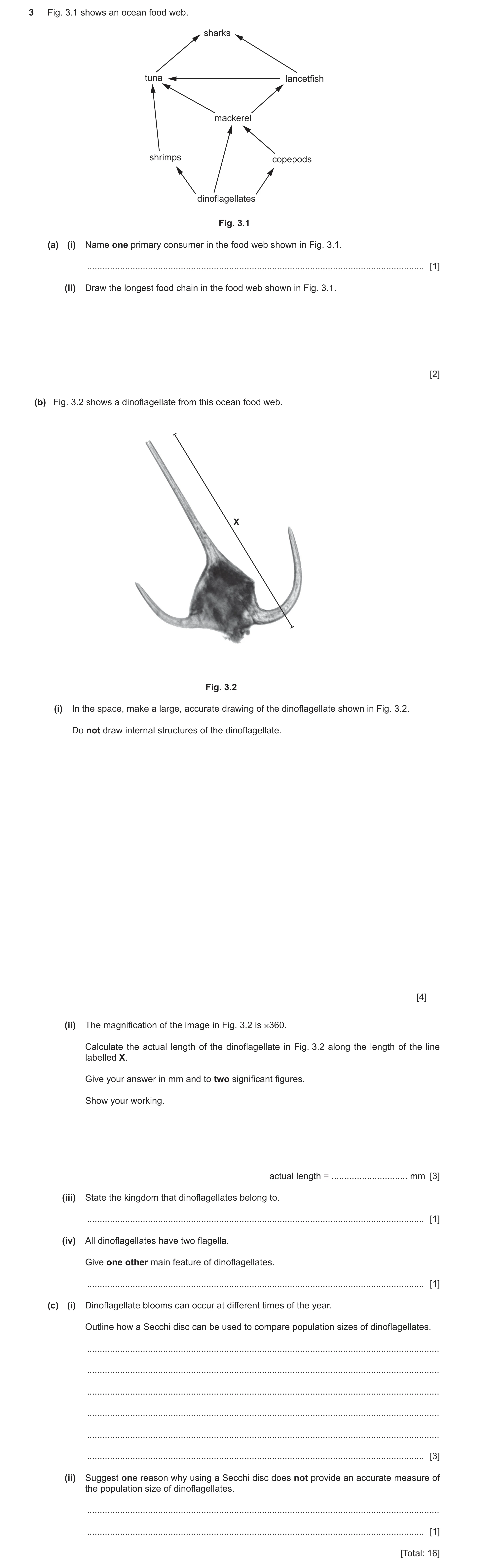Question 7: Fig. 3.1 shows an ocean food web. sharks tuna lancetfish mackerel shrimps copepods dinoflagellates Fig. 3.1 (a) (i) Name one primary consum…