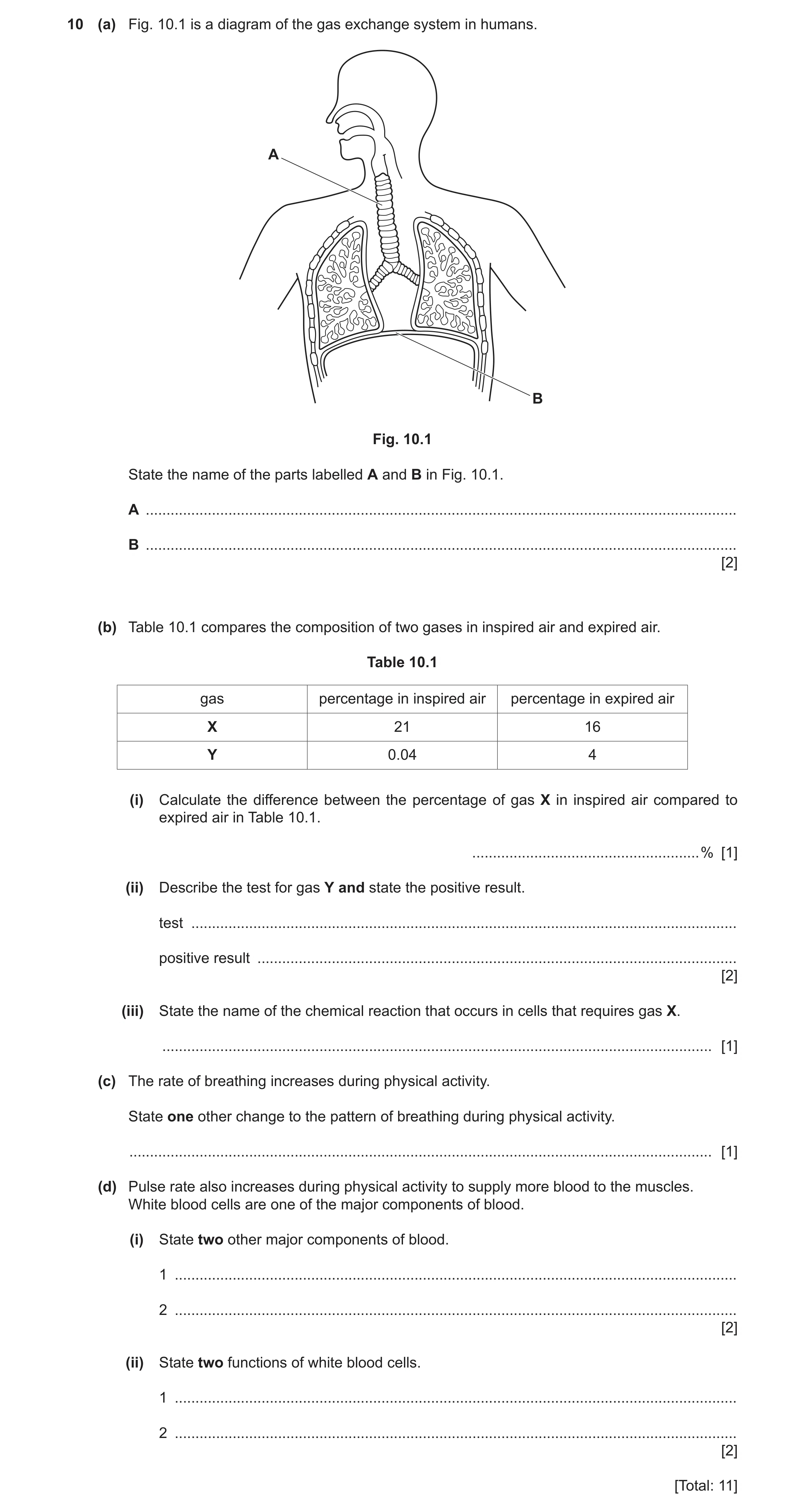 Question 15: (a) Fig. 10.1 is a diagram of the gas exchange system in humans. A B Fig. 10.1 State the name of the parts labelled A and B in Fig. 10.1. A…
