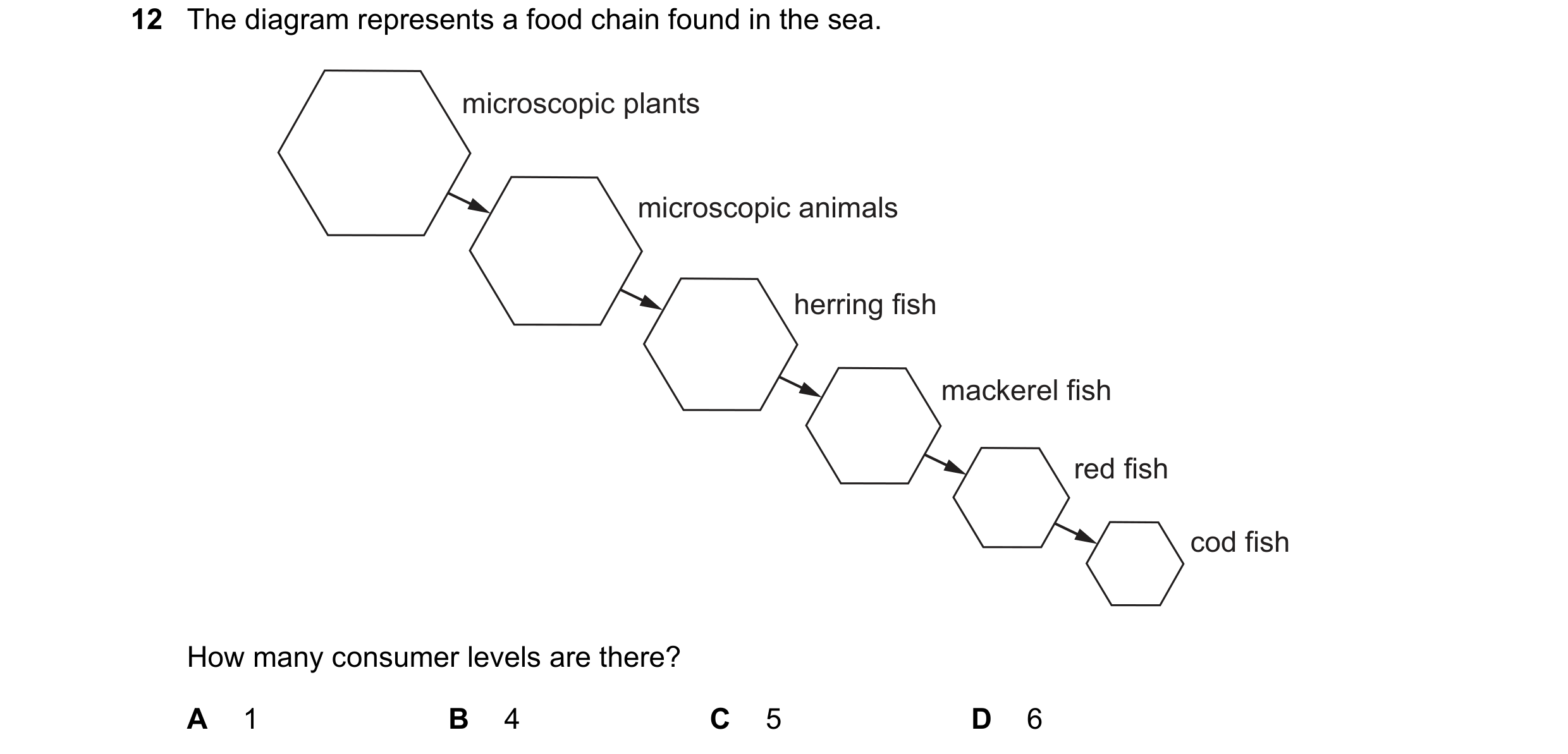 Question 54: The diagram represents a food chain found in the sea. microscopic plants microscopic animals herring fish mackerel fish red fish cod fish H…