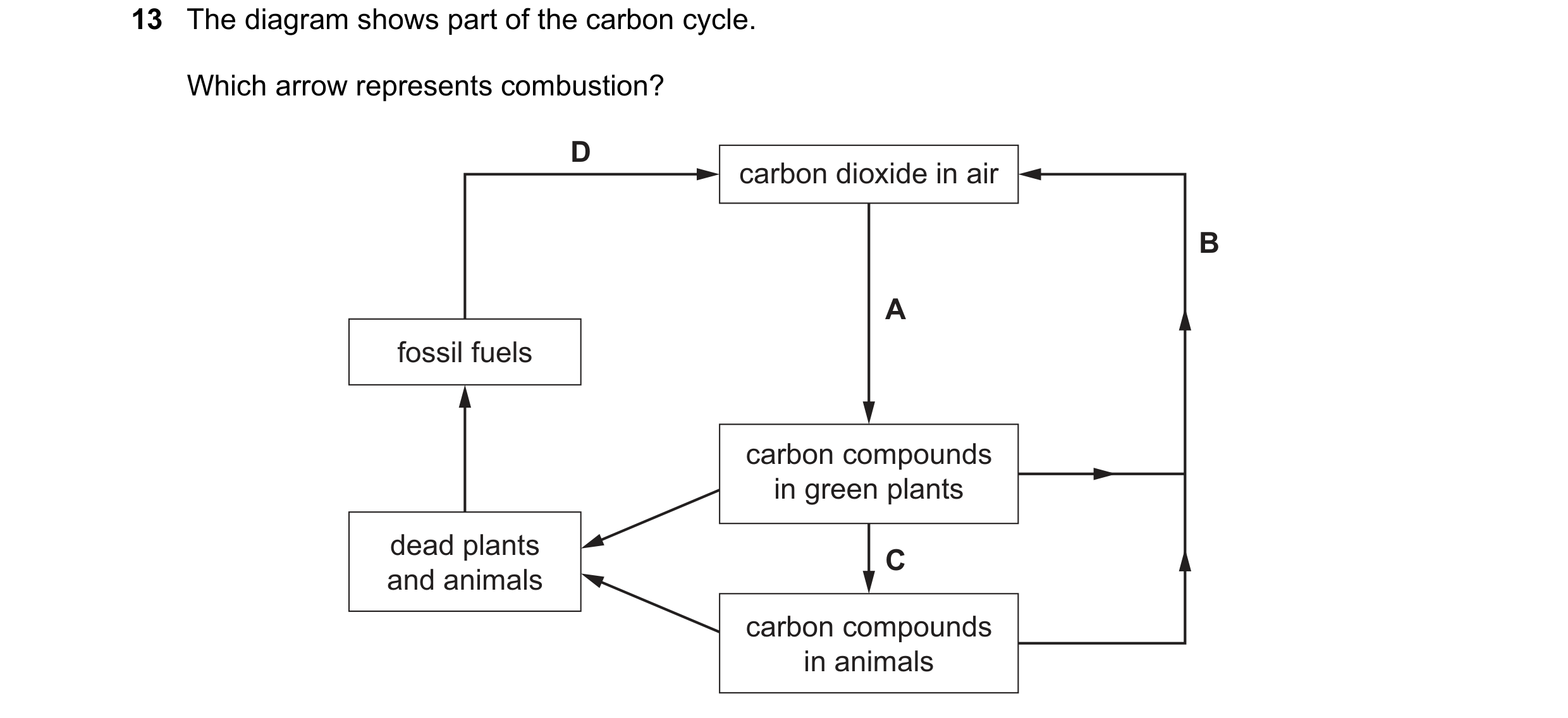 Question 47: The diagram shows part of the carbon cycle. Which arrow represents combustion? D carbon dioxide in air B A fossil fuels carbon compounds in…