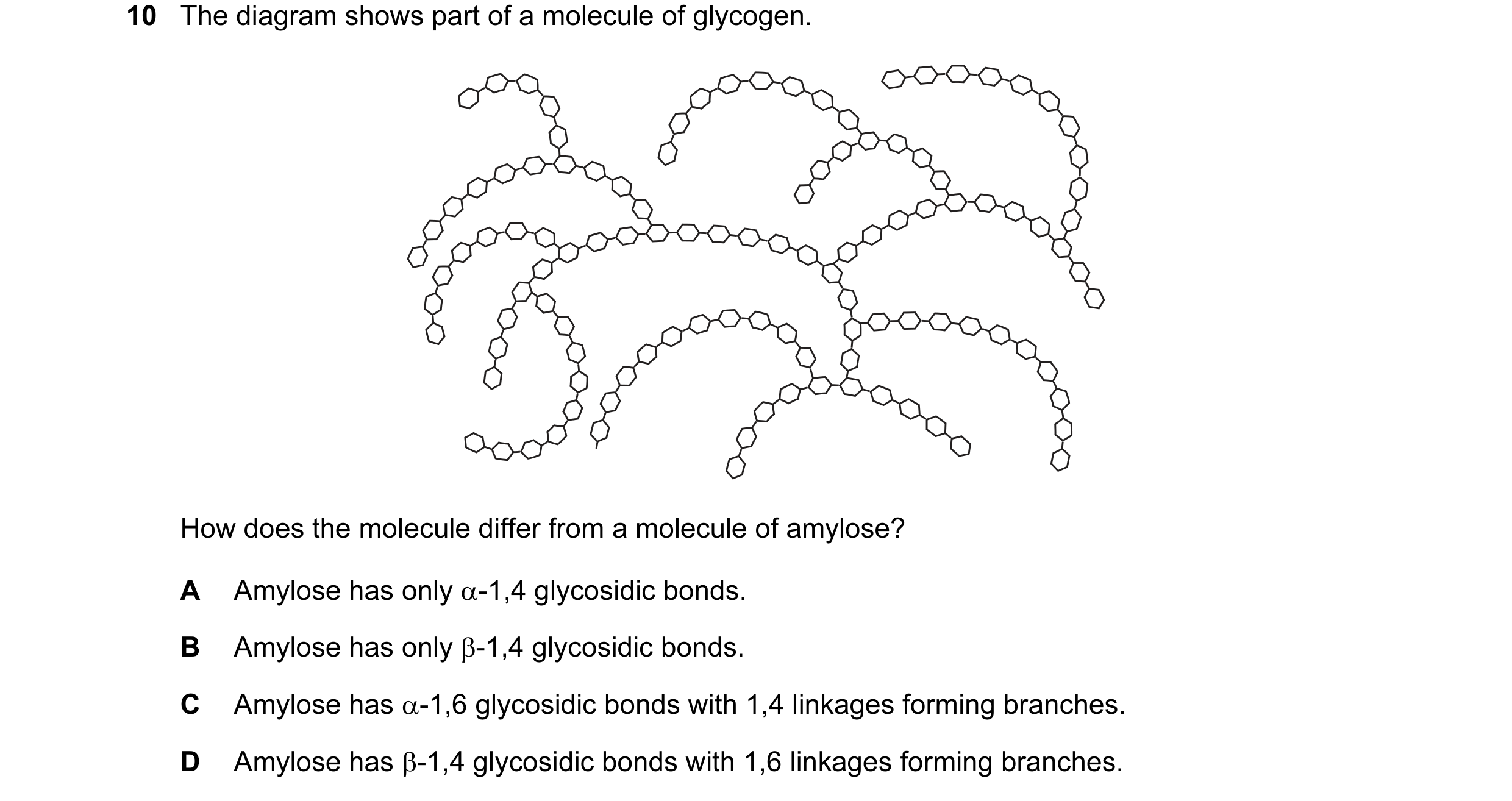 Question 87: The diagram shows part of a molecule of glycogen. How does the molecule differ from a molecule of amylose? A Amylose has only α-1,4 glycosi…