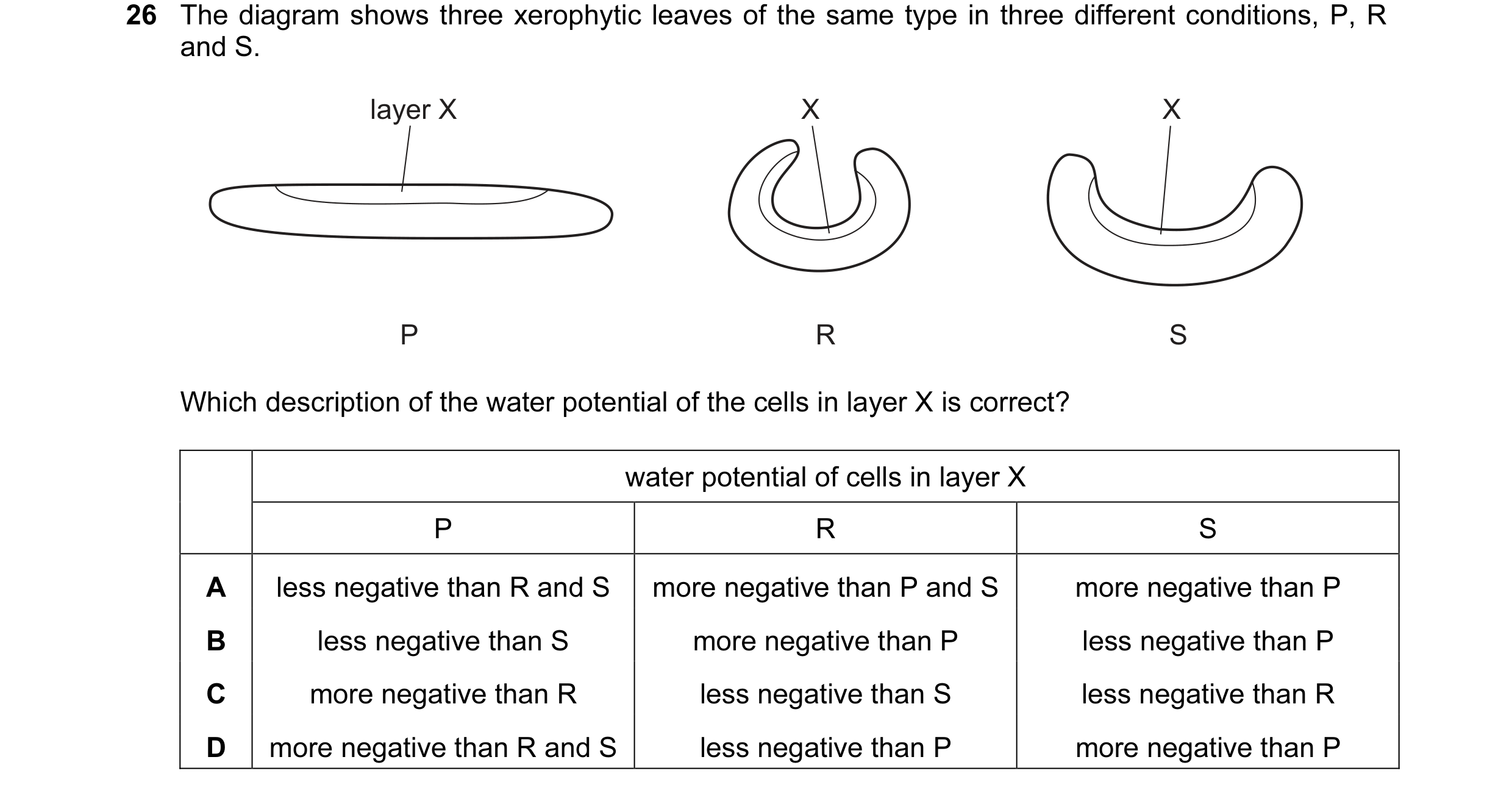 Question 69: The diagram shows three xerophytic leaves of the same type in three different conditions, P, R and S. layer X X X P R S Which description o…