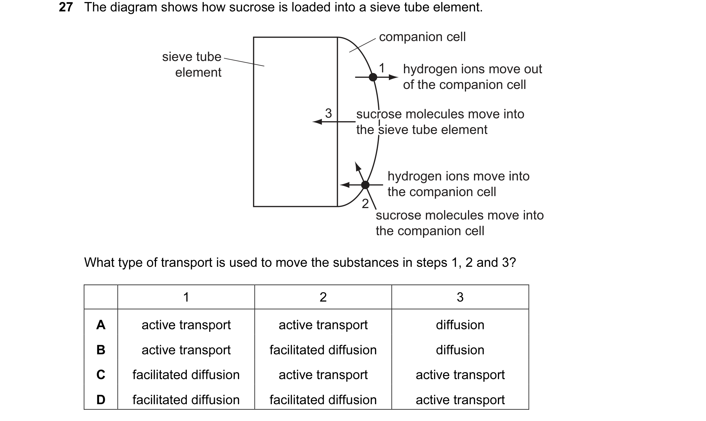 Question 66: The diagram shows how sucrose is loaded into a sieve tube element. companion cell sieve tube element 1 hydrogen ions move out of the compan…