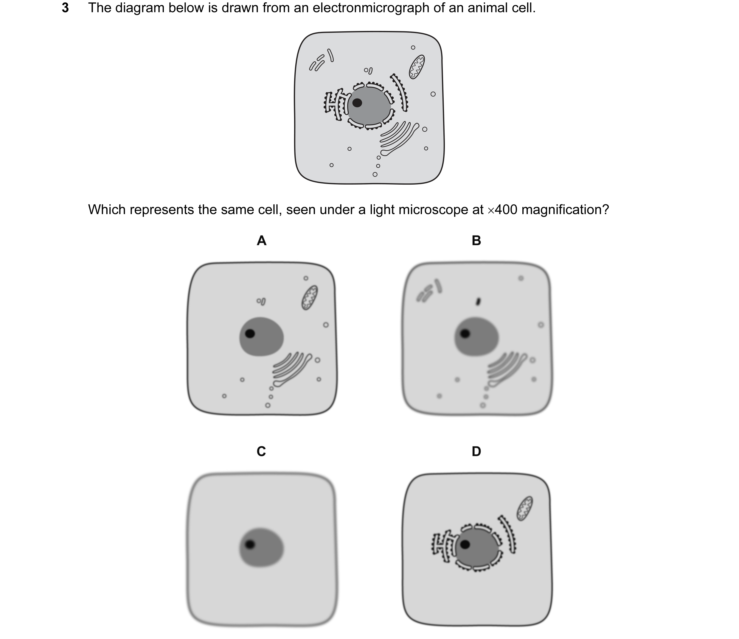 Question 77: The diagram below is drawn from an electronmicrograph of an animal cell. Which represents the same cell, seen under a light microscope at ×…