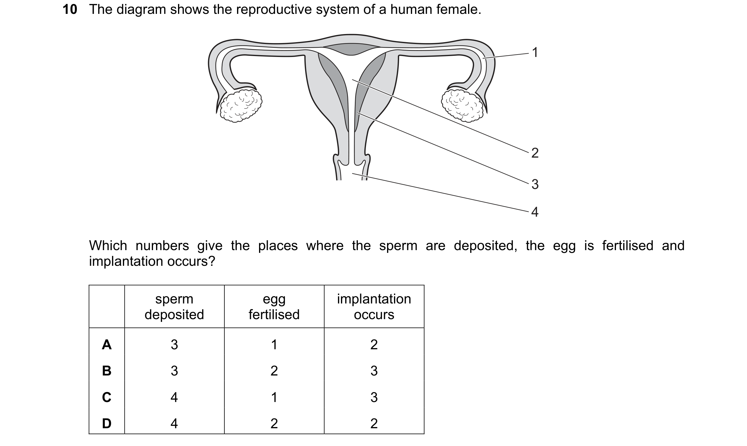 Question 61: The diagram shows the reproductive system of a human female. 1 2 3 4 Which numbers give the places where the sperm are deposited, the egg i…