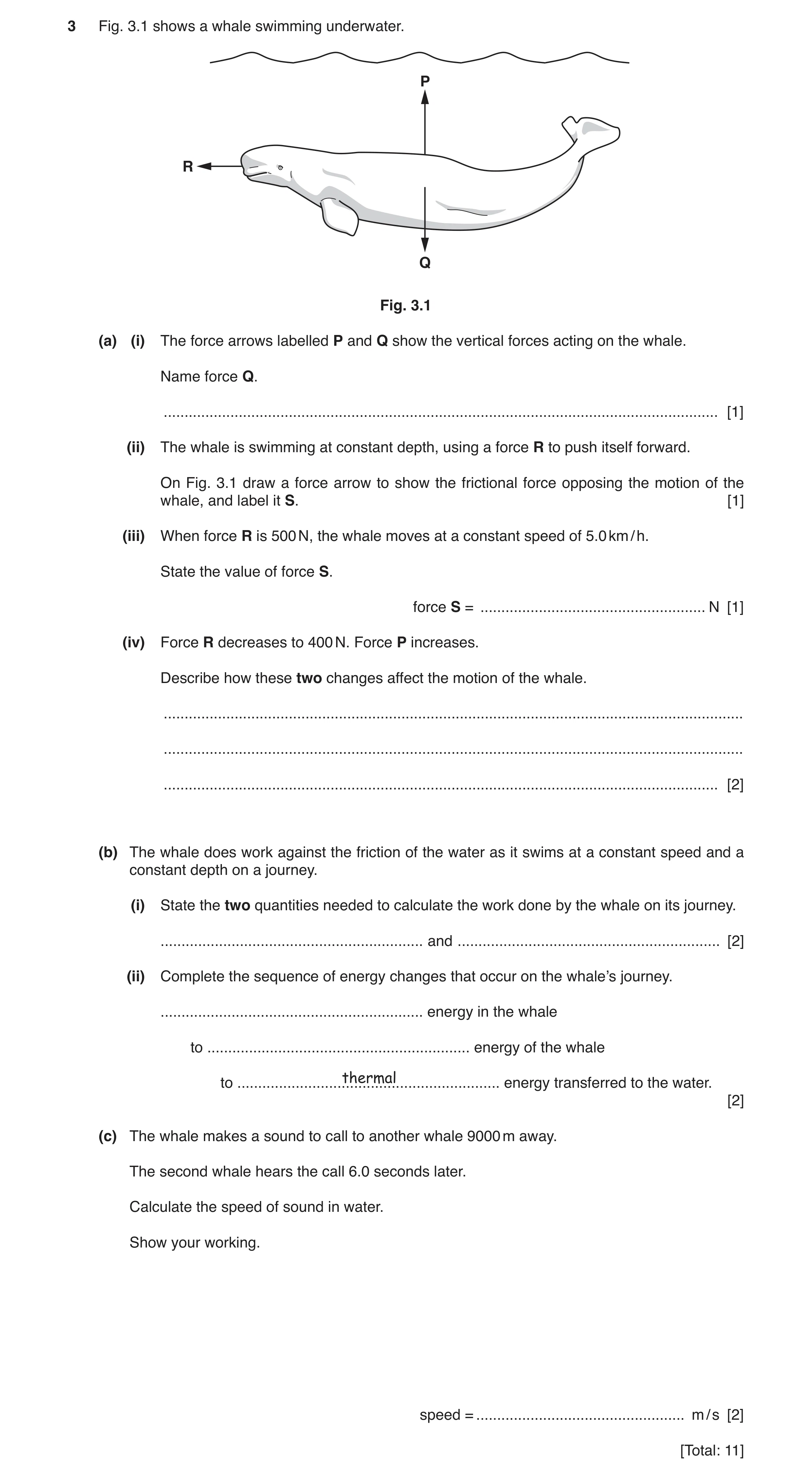 Question 12: Fig. 3.1 shows a whale swimming underwater. P R Q Fig. 3.1 (a) (i) The force arrows labelled P and Q show the vertical forces acting on the…
