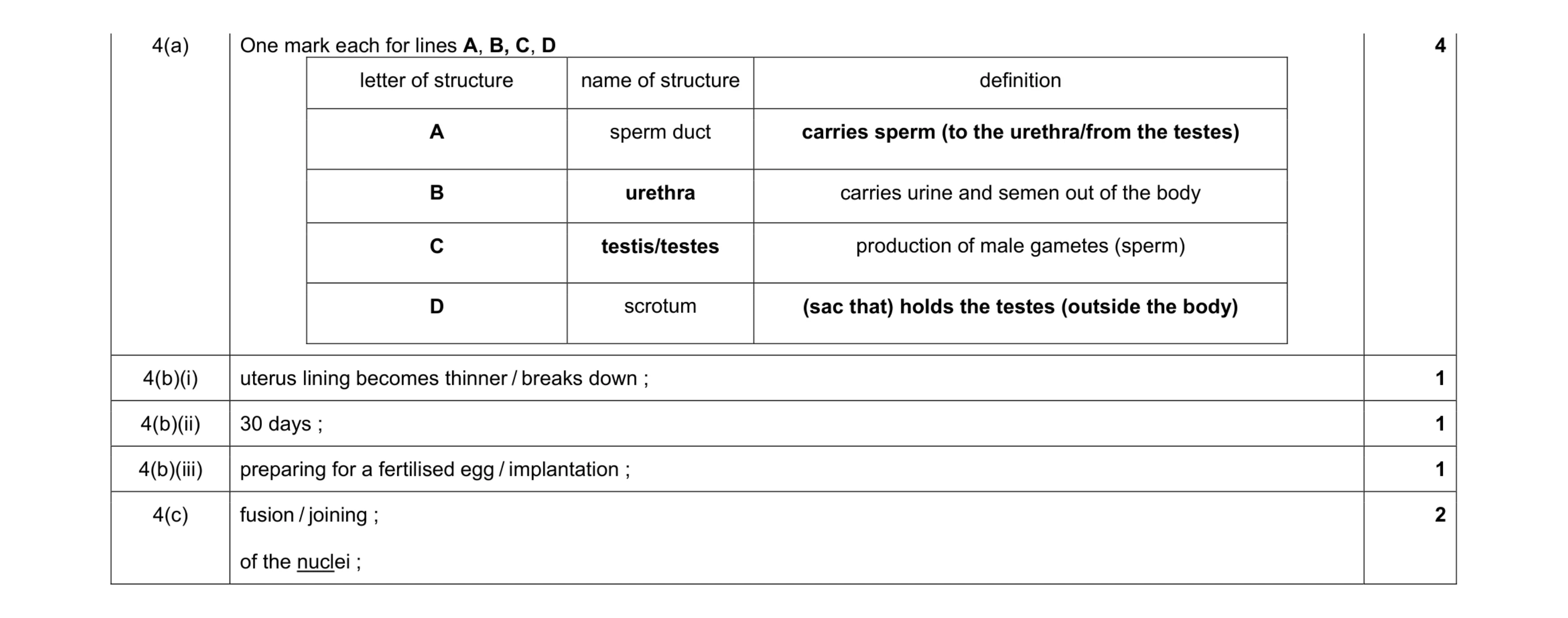 Mark scheme for question 3