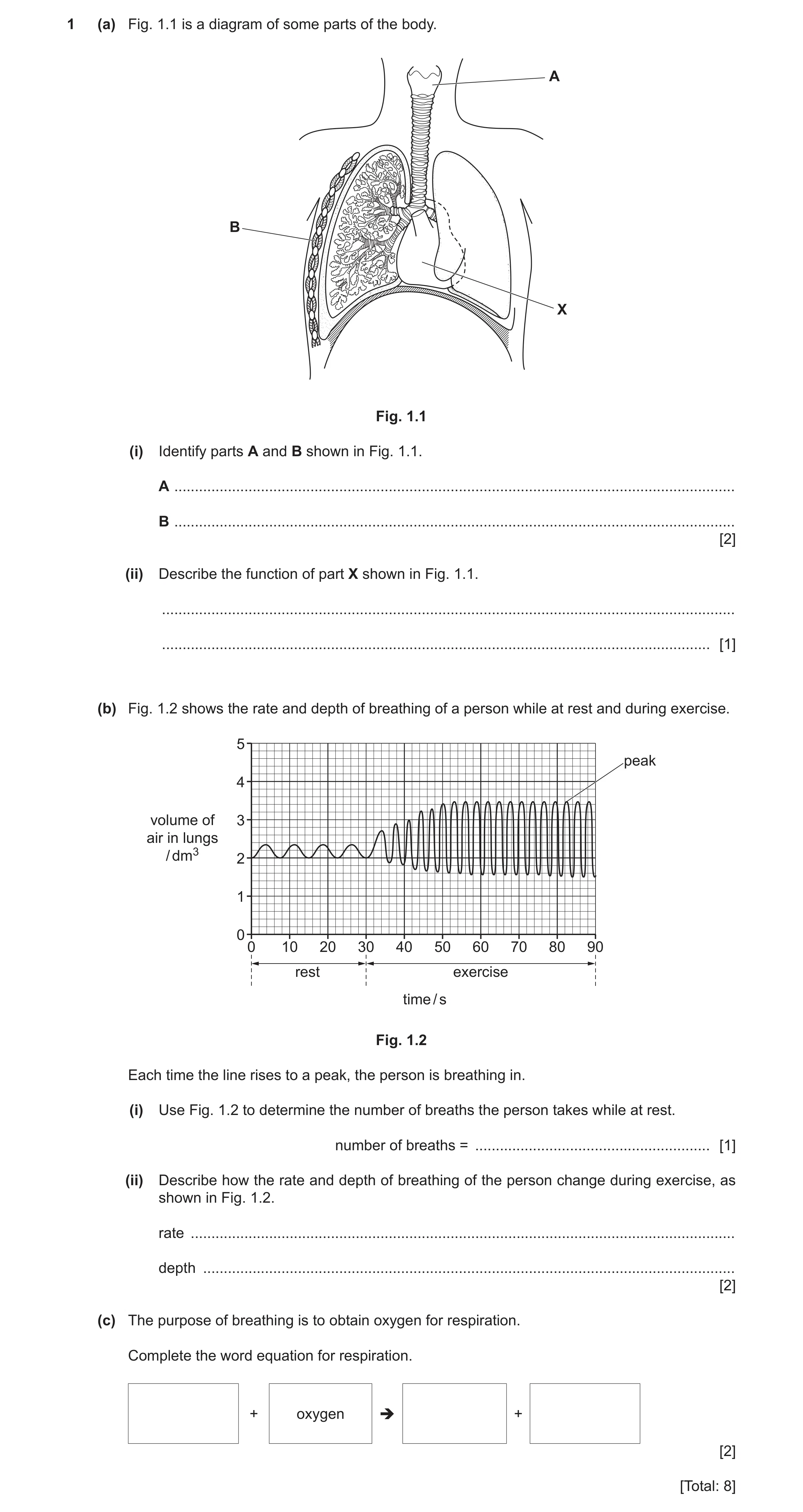 Question 11: (a) Fig. 1.1 is a diagram of some parts of the body. A B X Fig. 1.1 (i) Identify parts A and B shown in Fig. 1.1. A .......................…