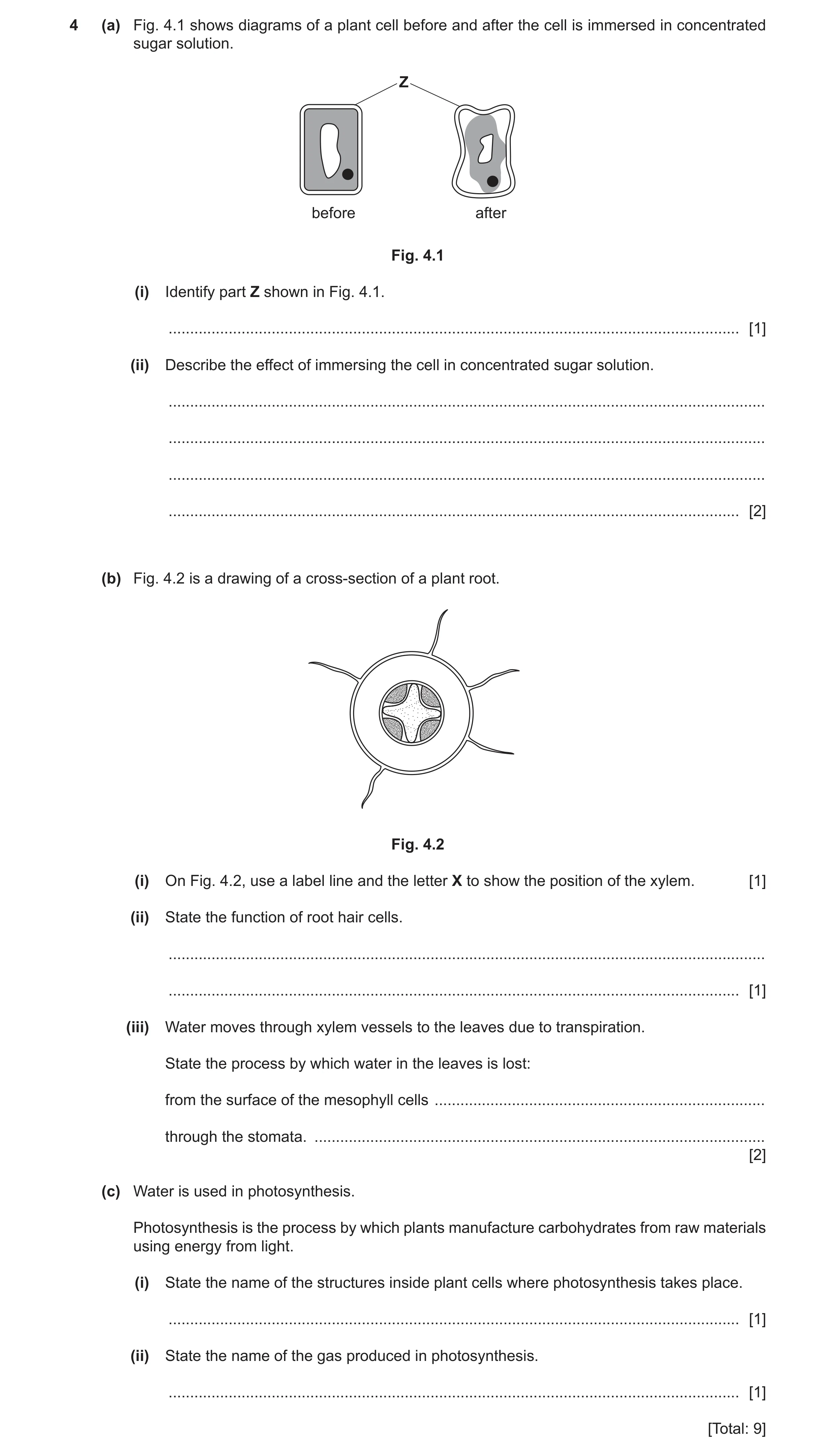 Question 16: (a) Fig. 4.1 shows diagrams of a plant cell before and after the cell is immersed in concentrated sugar solution. Z before after Fig. 4.1 (…