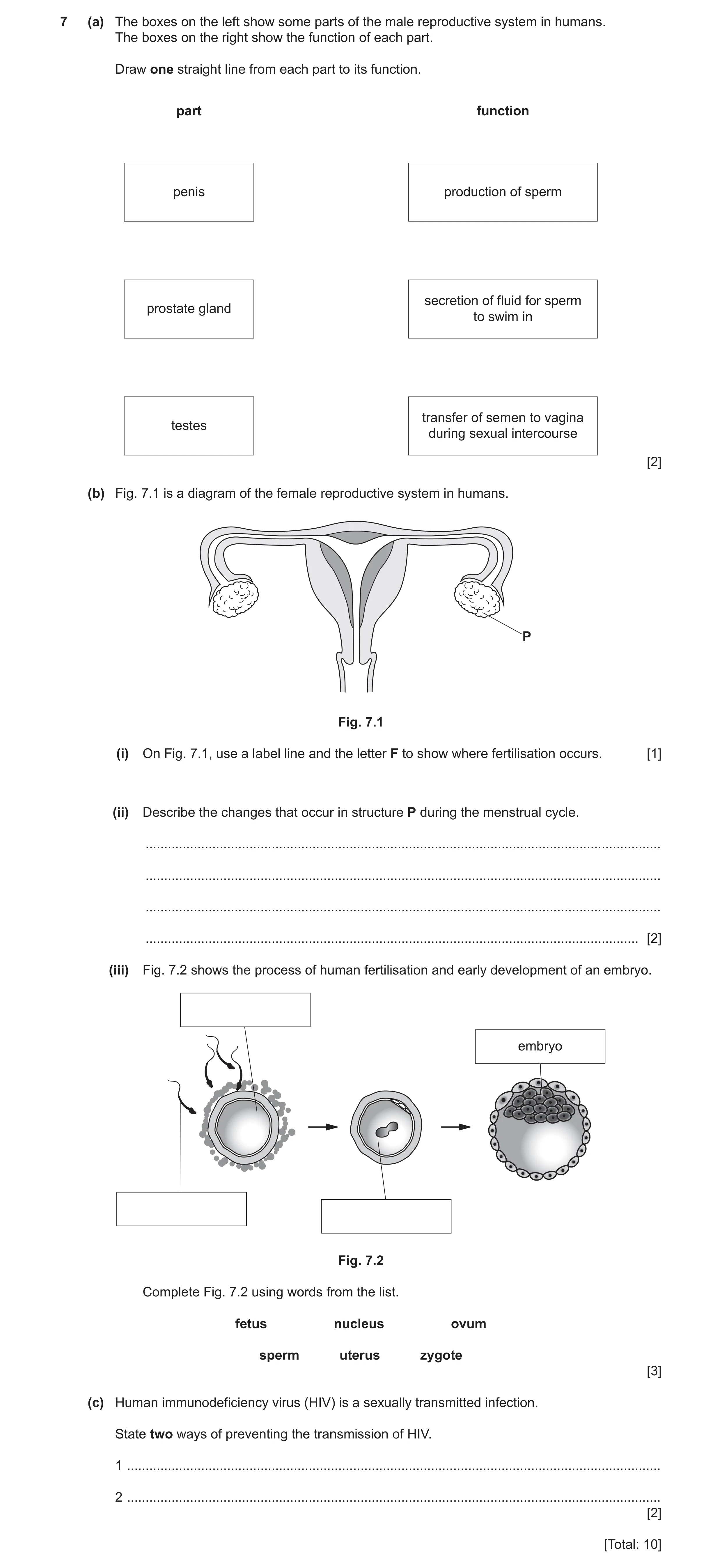 Question 6: (a) The boxes on the left show some parts of the male reproductive system in humans. The boxes on the right show the function of each part.…