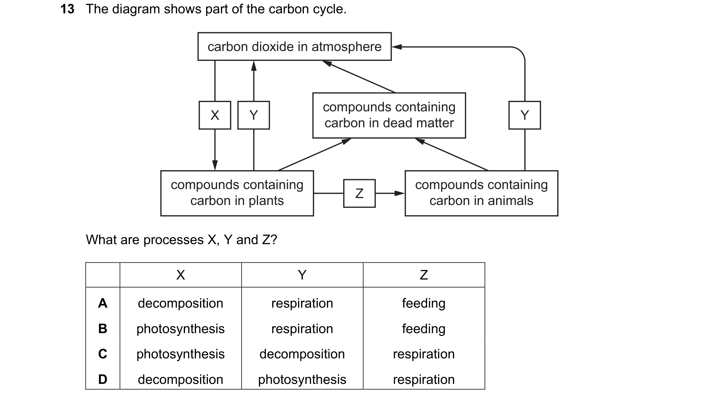 Question 42: The diagram shows part of the carbon cycle. carbon dioxide in atmosphere compounds containing X Y Y carbon in dead matter compounds contain…