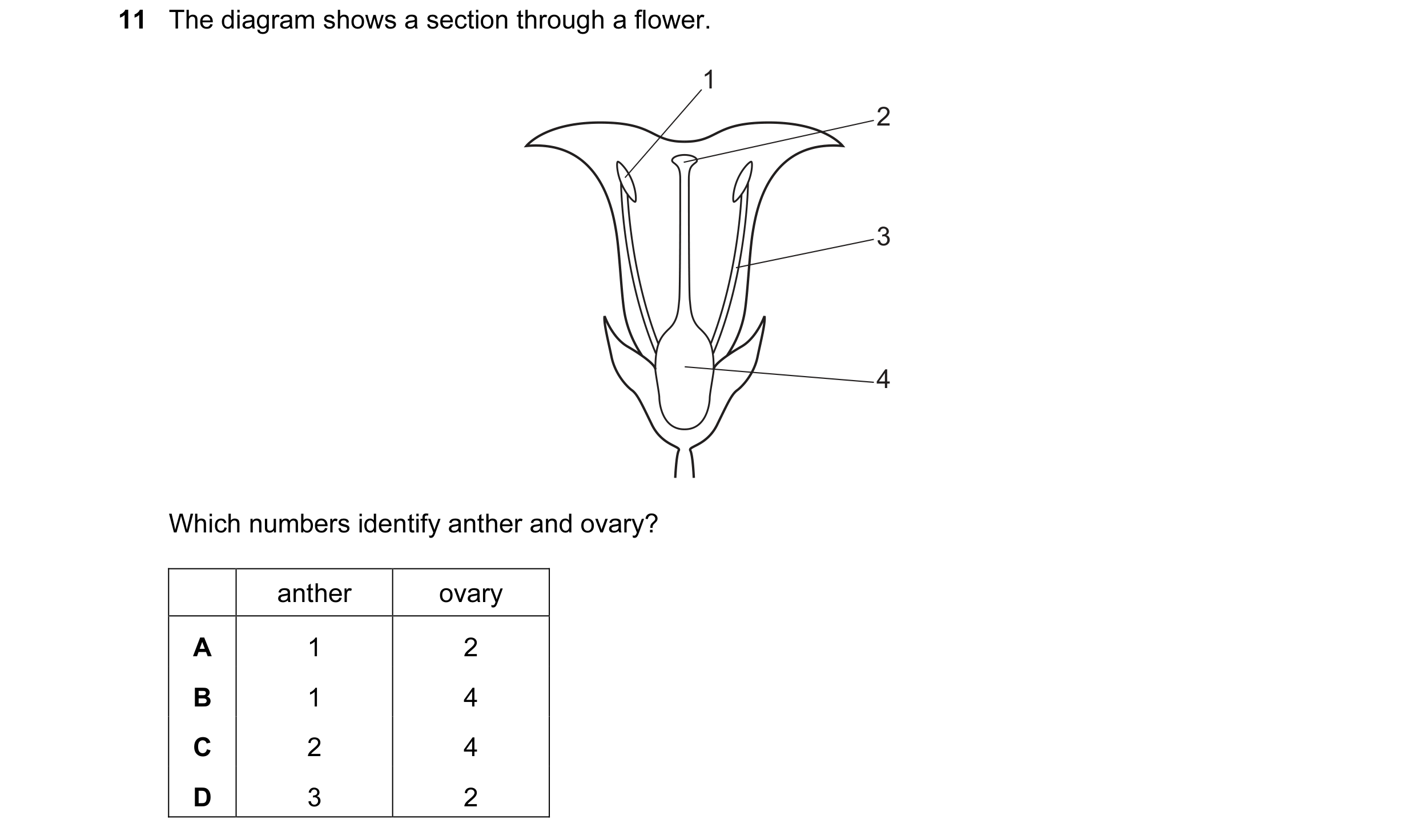 Question 54: The diagram shows a section through a flower. 1 2 3 4 Which numbers identify anther and ovary? anther ovary A 1 2 B 1 4 C 2 4 D 3 2