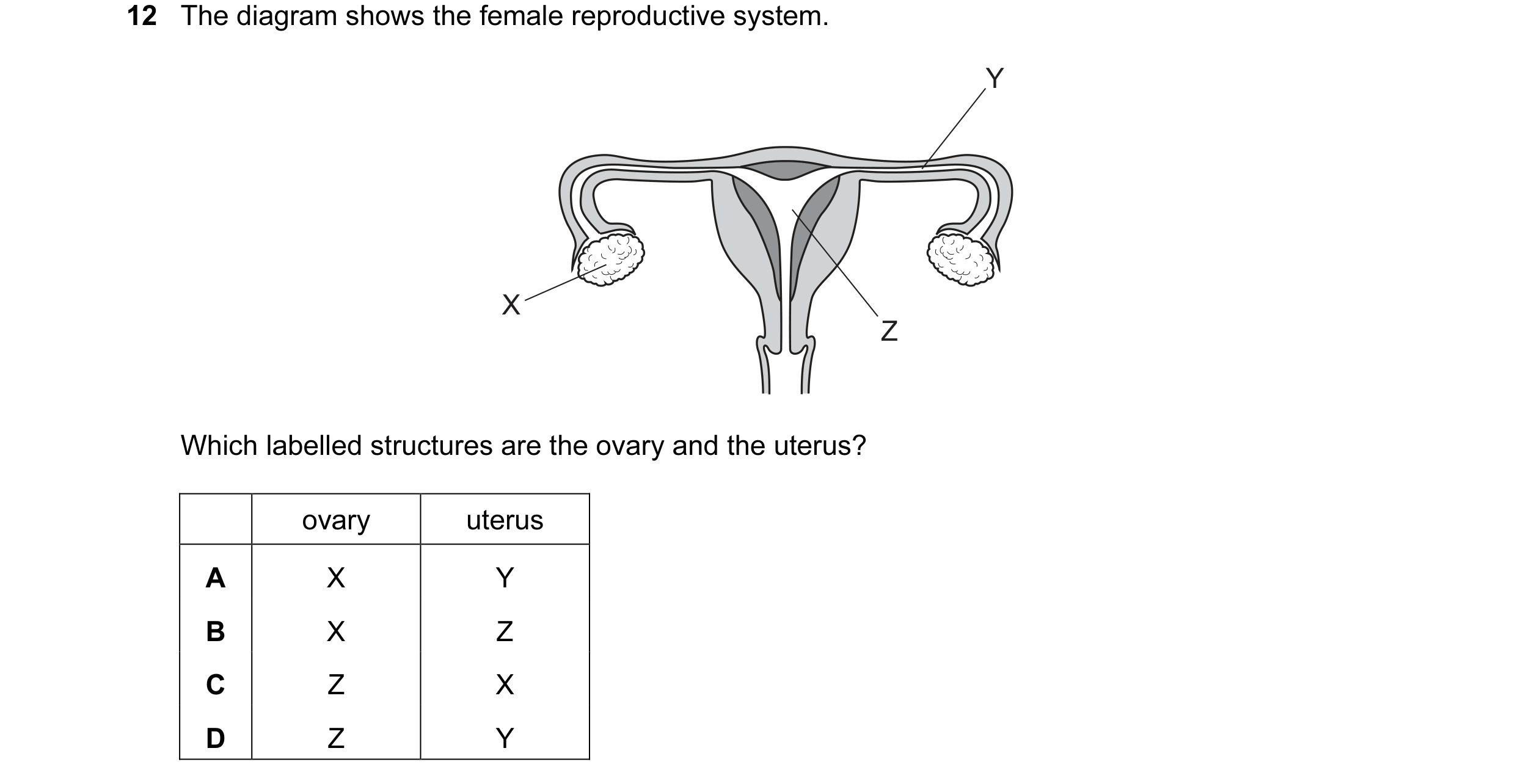 Question 46: The diagram shows the female reproductive system. Y X Z Which labelled structures are the ovary and the uterus? ovary uterus A X Y B X Z C …