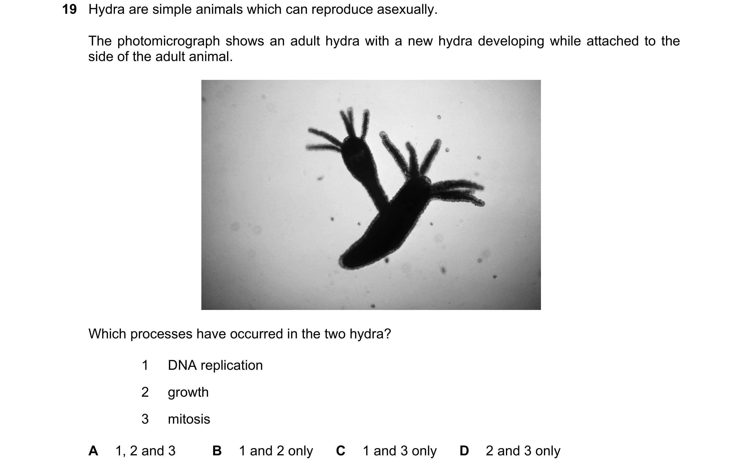 Question 134: Hydra are simple animals which can reproduce asexually. The photomicrograph shows an adult hydra with a new hydra developing while attached…