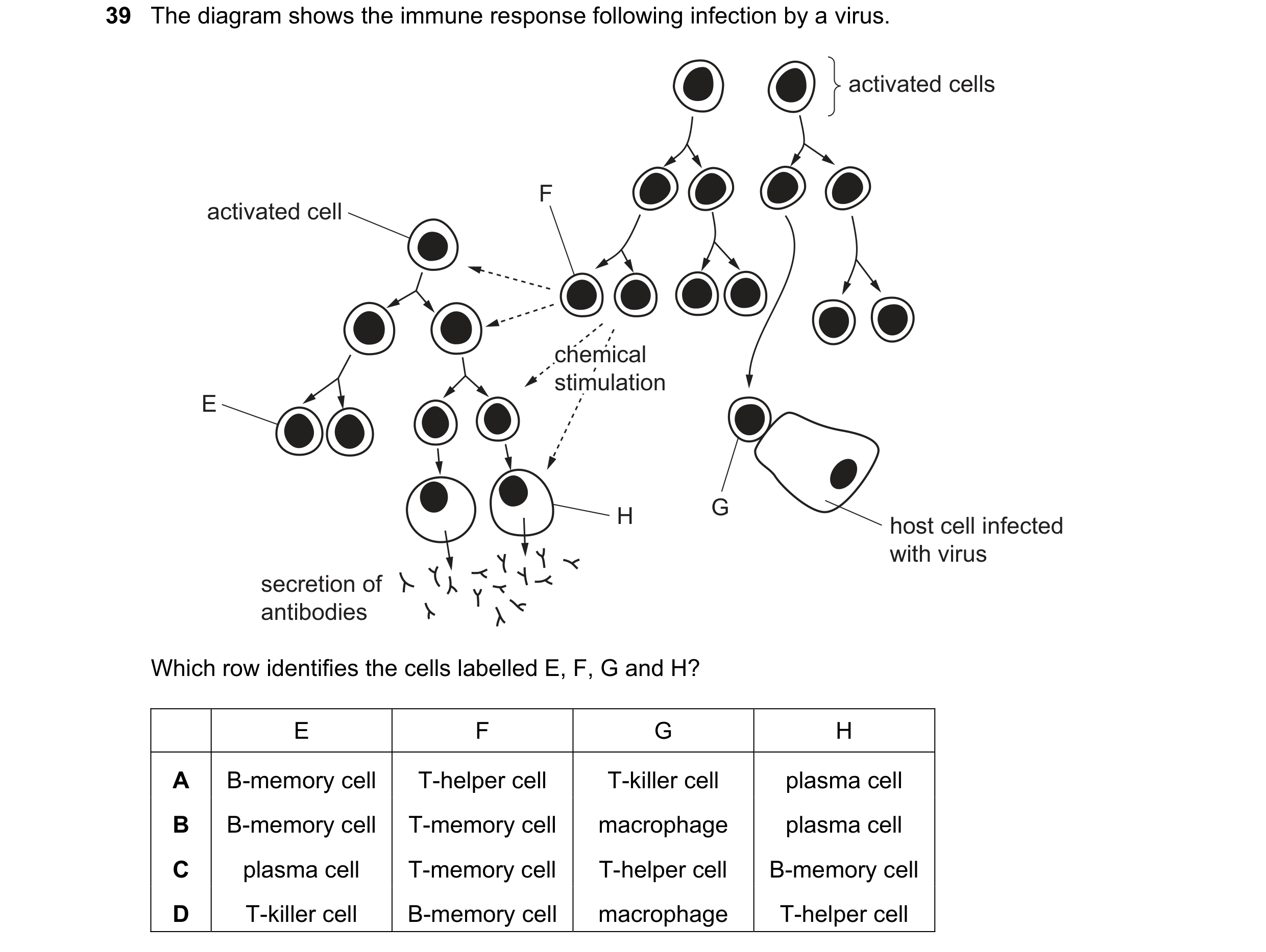 Question 122: The diagram shows the immune response following infection by a virus. activated cells F activated cell chemical chemical chemical stimulati…