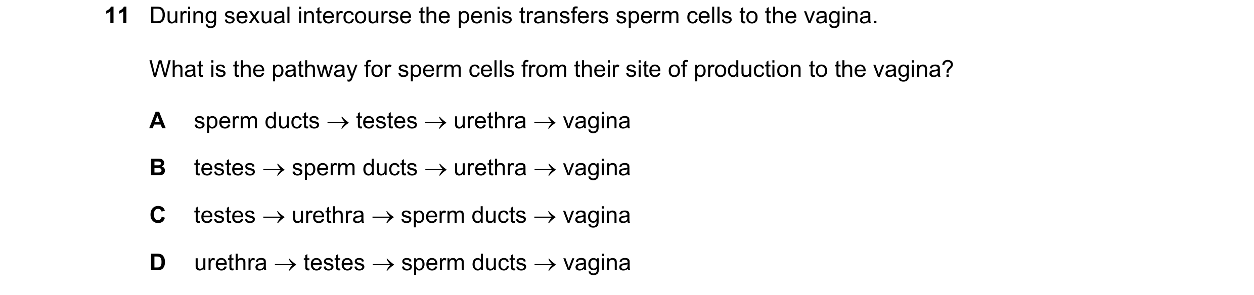 Question 41: During sexual intercourse the penis transfers sperm cells to the vagina. What is the pathway for sperm cells from their site of production …