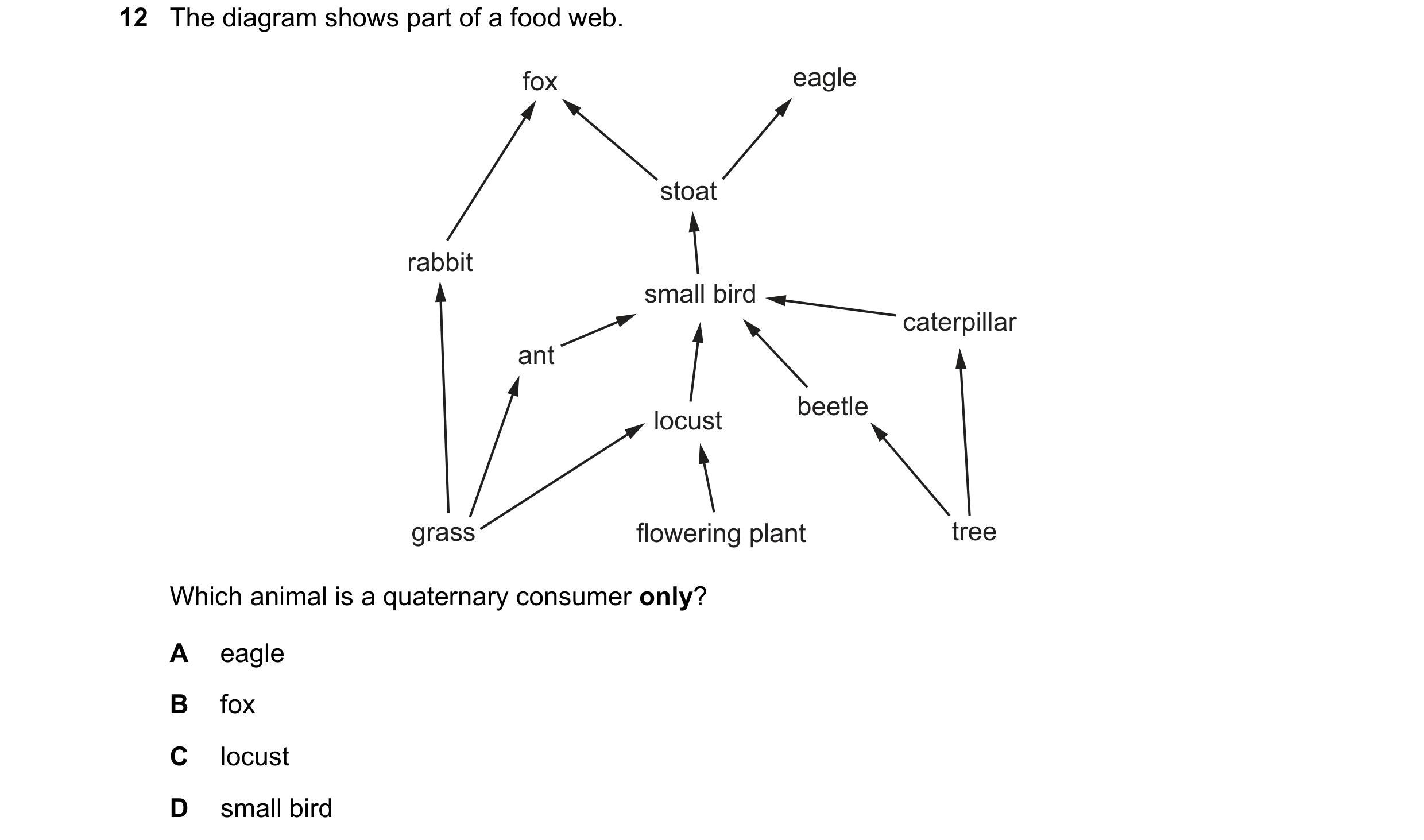 Question 29: The diagram shows part of a food web. fox eagle stoat rabbit small bird caterpillar ant beetle locust grass flowering plant tree Which anim…
