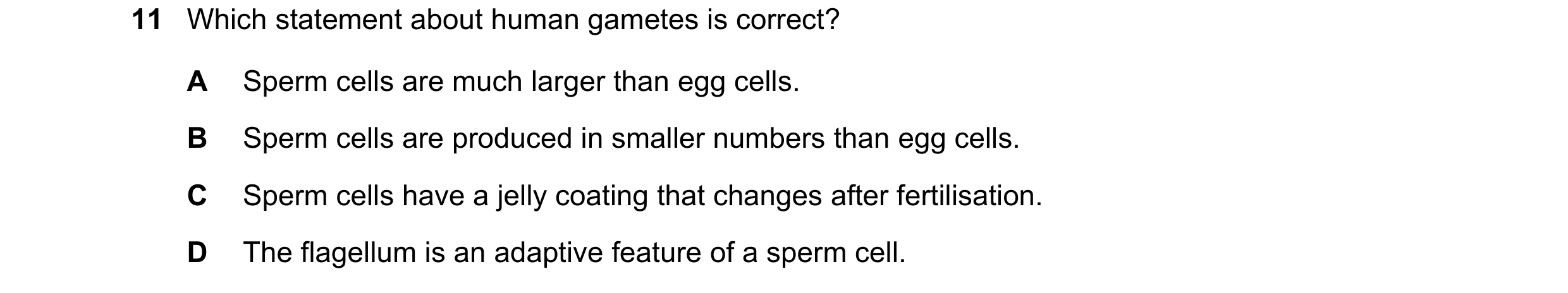 Question 24: Which statement about human gametes is correct? A Sperm cells are much larger than egg cells. B Sperm cells are produced in smaller numbers…