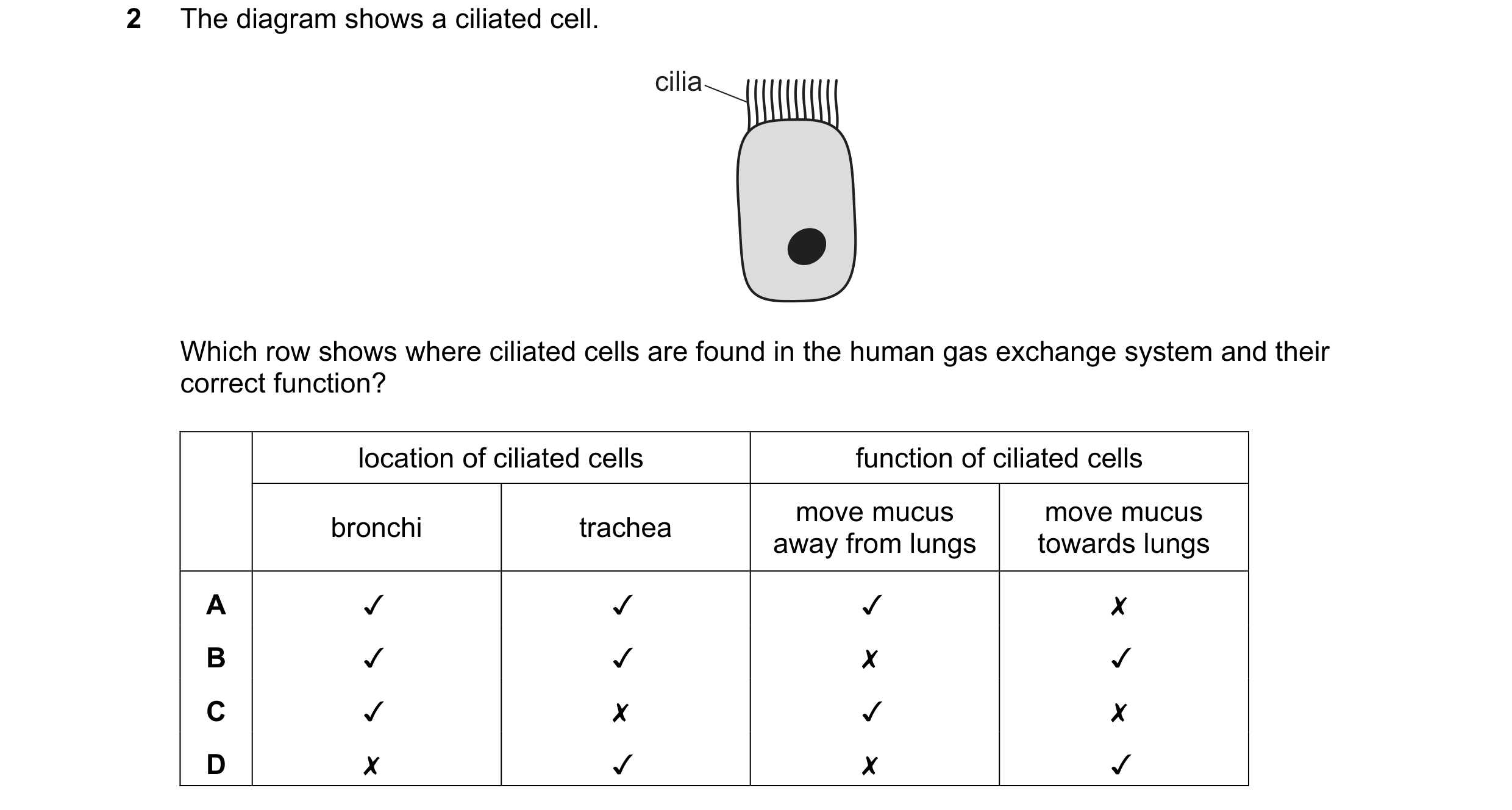 Question 18: The diagram shows a ciliated cell.

cilia

Which row shows where ciliated cells are found in the human gas exchange system and their
correc…