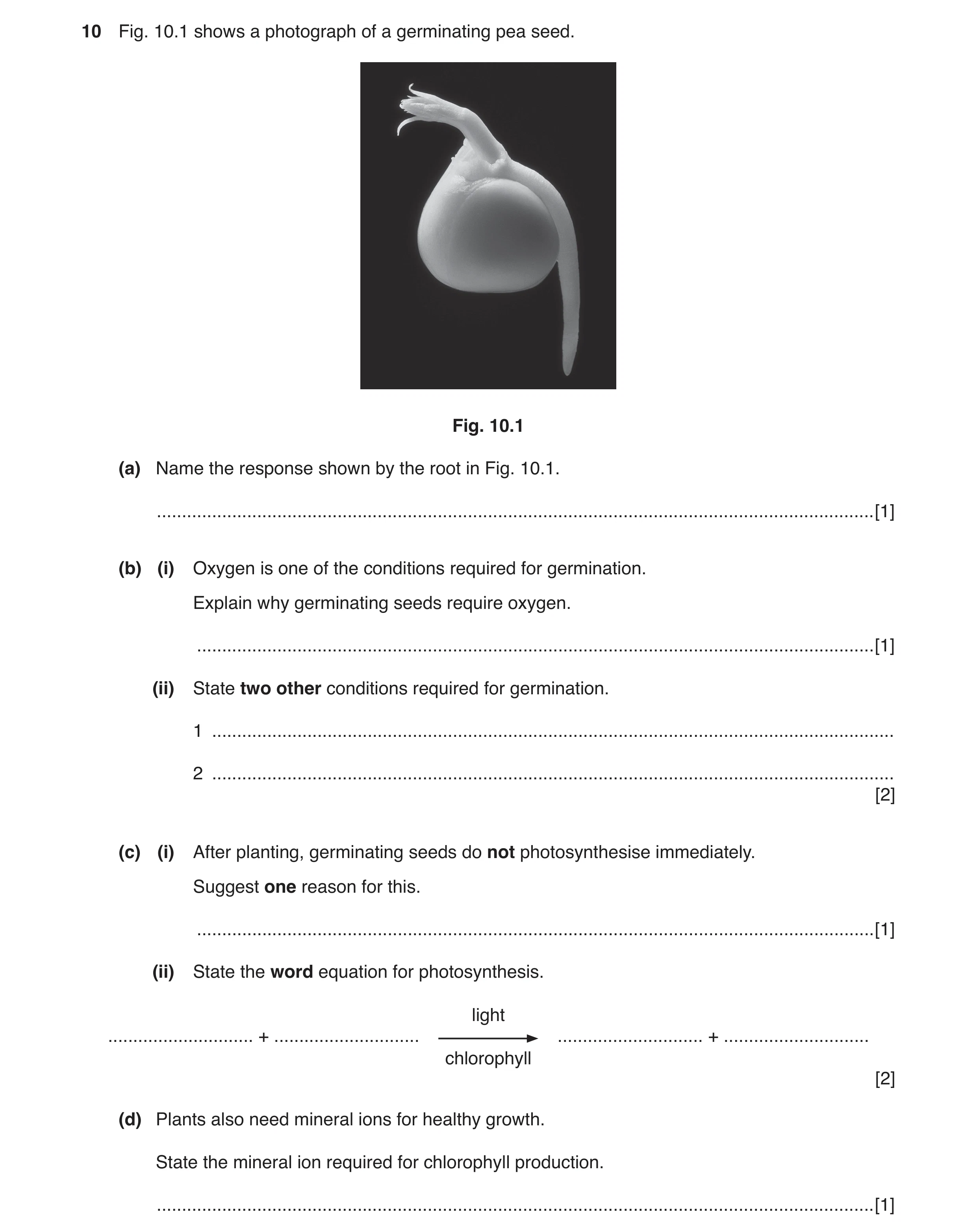 Question 3: Fig. 10.1 shows a photograph of a germinating pea seed. Fig. 10.1 (a) Name the response shown by the root in Fig. 10.1. ...................…