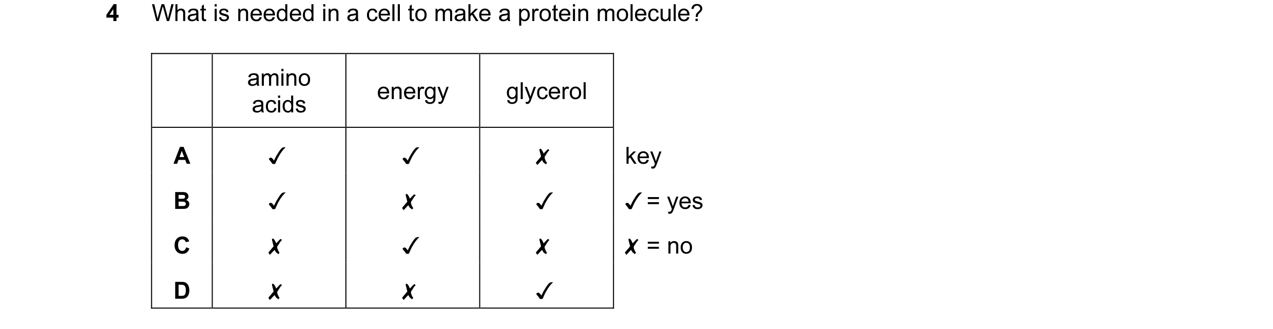 Question 25: What is needed in a cell to make a protein molecule?
amino energy glycerol
A v v x
B v x v
Cc x v x
D x x v
key
v=yes
X =no