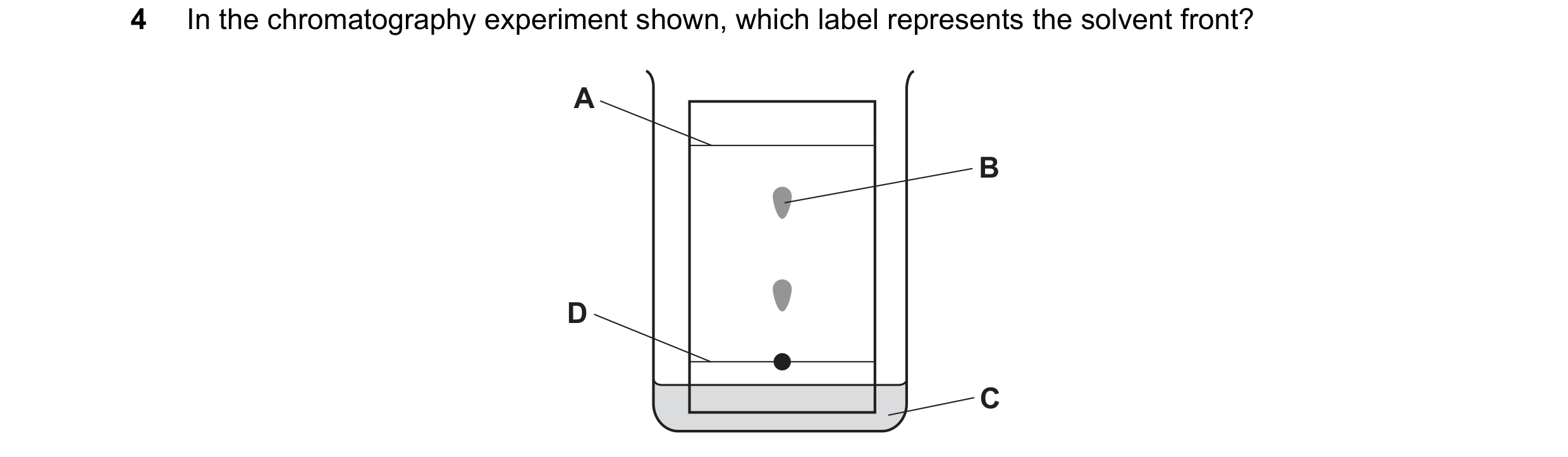 Question 7: In the chromatography experiment shown, which label represents the solvent front? A B D C
