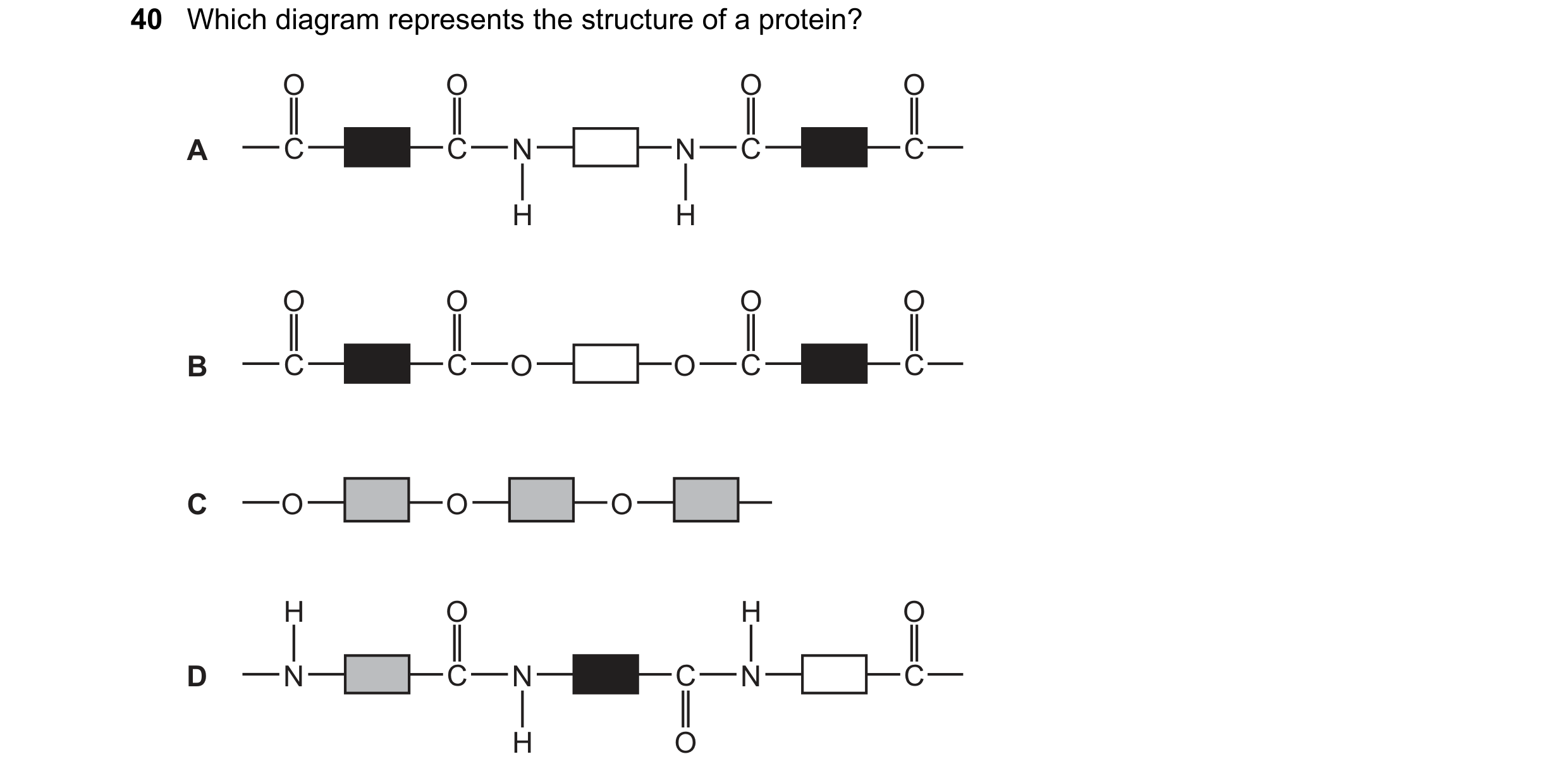Question 9: Which diagram represents the structure of a protein? O O O O A C C N N C C H H O O O O B C C O O C C C O O O H O H O D N C N C N C H O