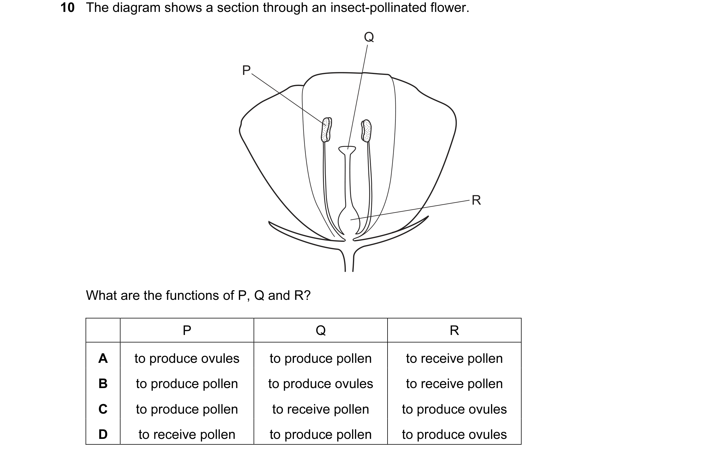 Question 26: The diagram shows a section through an insect-pollinated flower. Q P R What are the functions of P, Q and R? P Q R A to produce ovules to p…