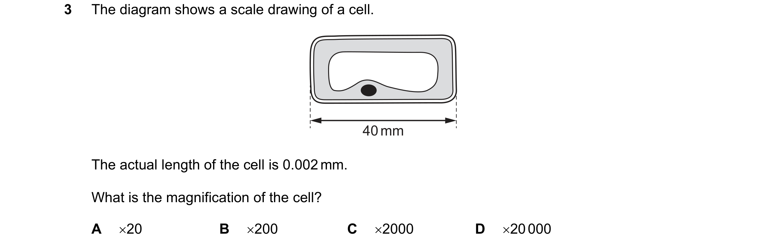 Question 15: The diagram shows a scale drawing of a cell. 40 mm The actual length of the cell is 0.002 mm. What is the magnification of the cell? A 20 …
