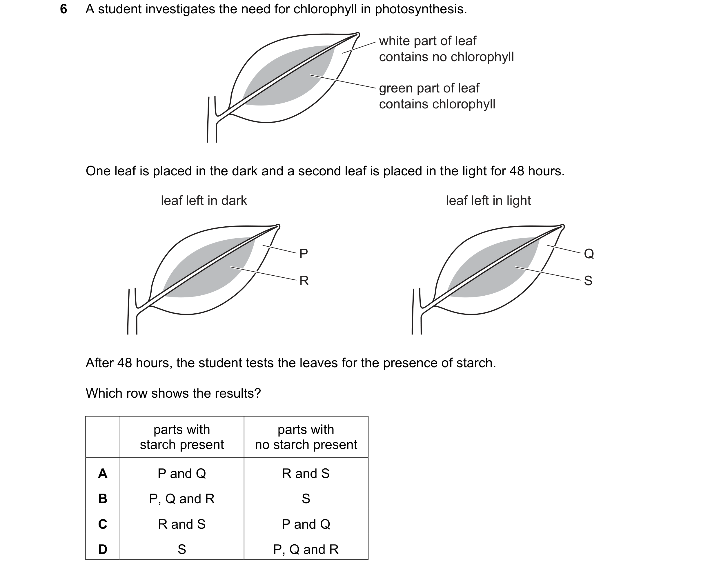 Question 96: A student investigates the need for chlorophyll in photosynthesis. white part of leaf contains no chlorophyll green part of leaf contains c…