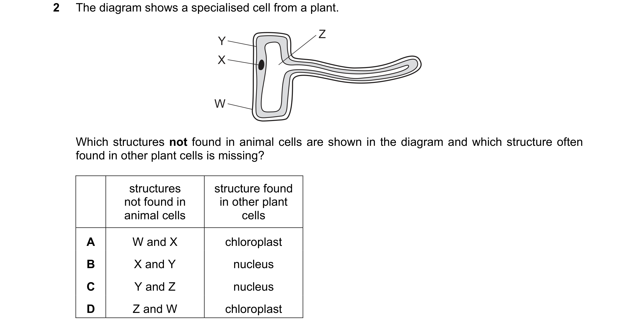 Question 7: The diagram shows a specialised cell from a plant. Z Y X W Which structures not found in animal cells are shown in the diagram and which st…