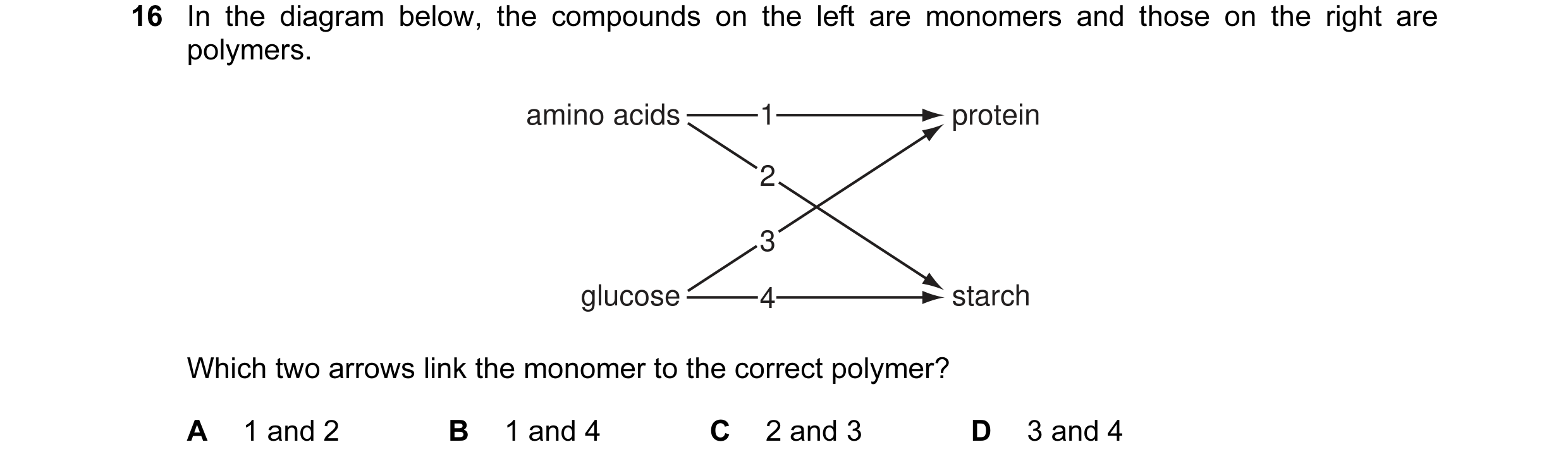 Question 16: In the diagram below, the compounds on the left are monomers and those on the right are polymers. amino acids 1 protein 2 3 glucose 4 starc…
