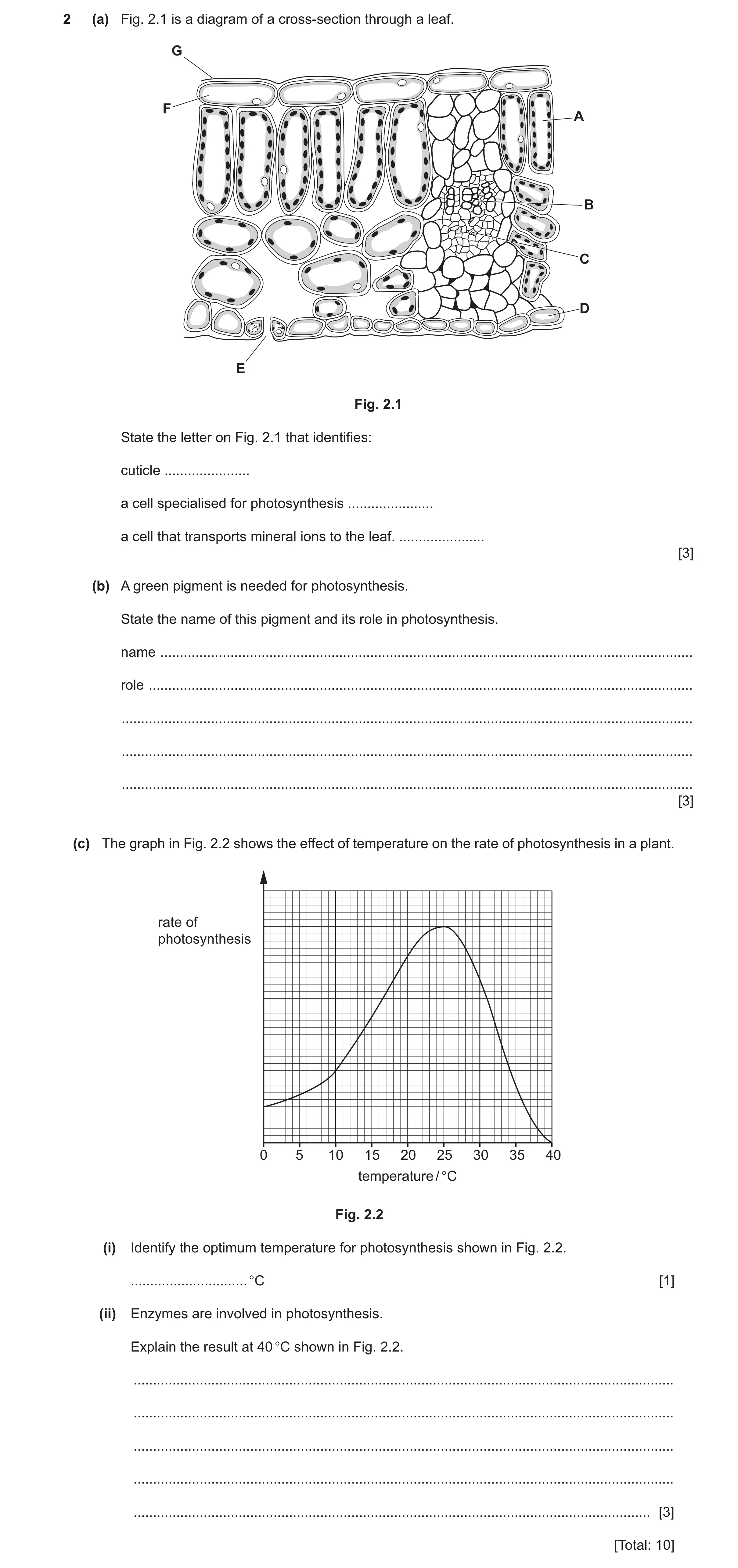 Question 14: (a) Fig. 2.1 is a diagram of a cross-section through a leaf. G F A B C D E Fig. 2.1 State the letter on Fig. 2.1 that identifies: cuticle .…