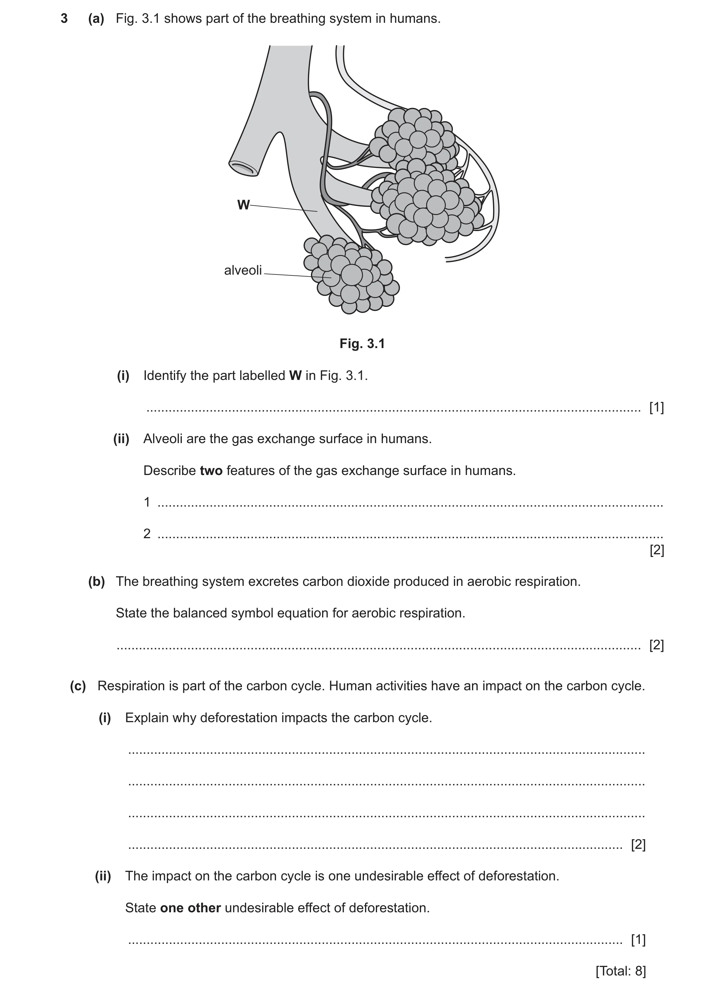 Question 14: (a) Fig. 3.1 shows part of the breathing system in humans. W alveoli Fig. 3.1 (i) Identify the part labelled W in Fig. 3.1. ...............…