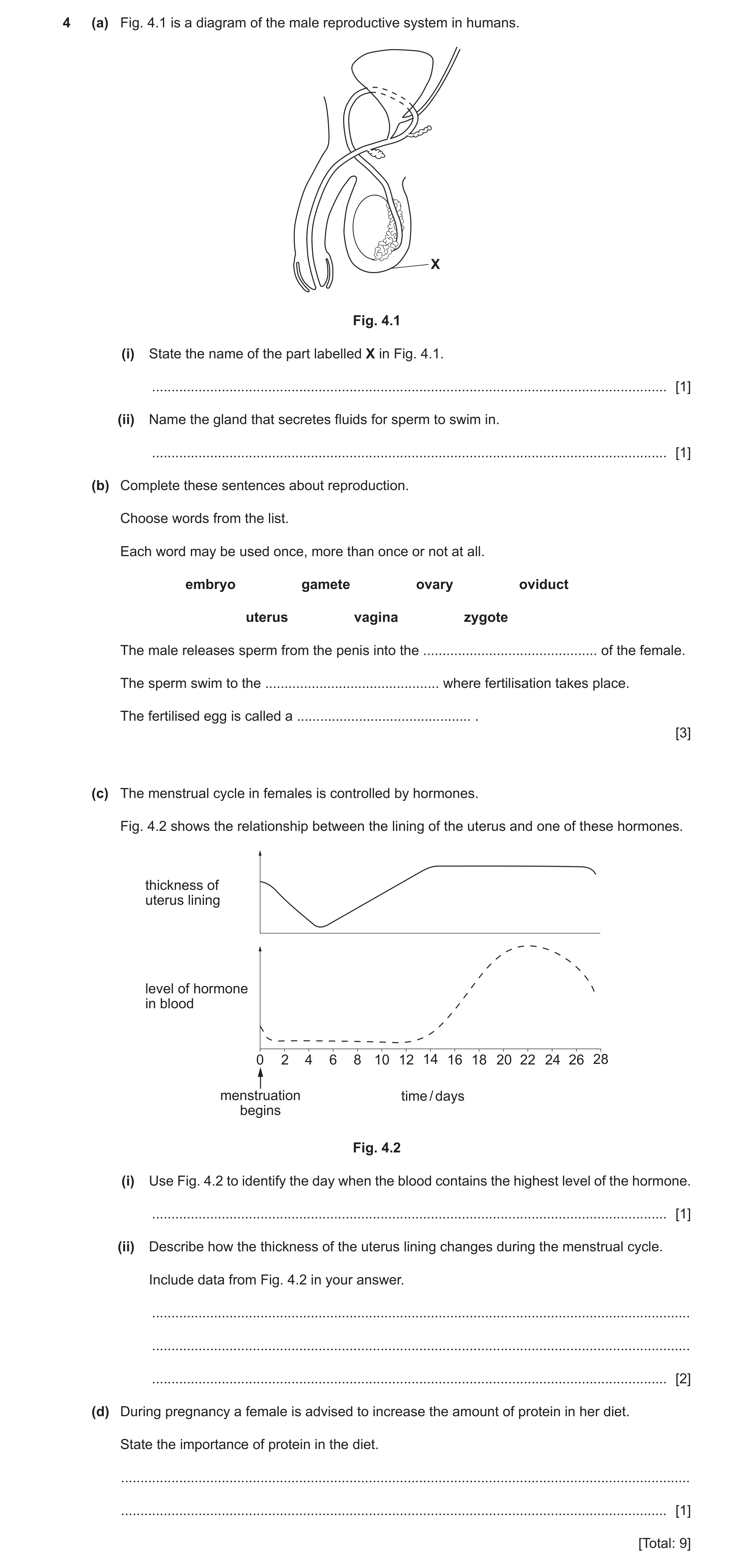Question 10: (a) Fig. 4.1 is a diagram of the male reproductive system in humans. X Fig. 4.1 (i) State the name of the part labelled X in Fig. 4.1. ....…