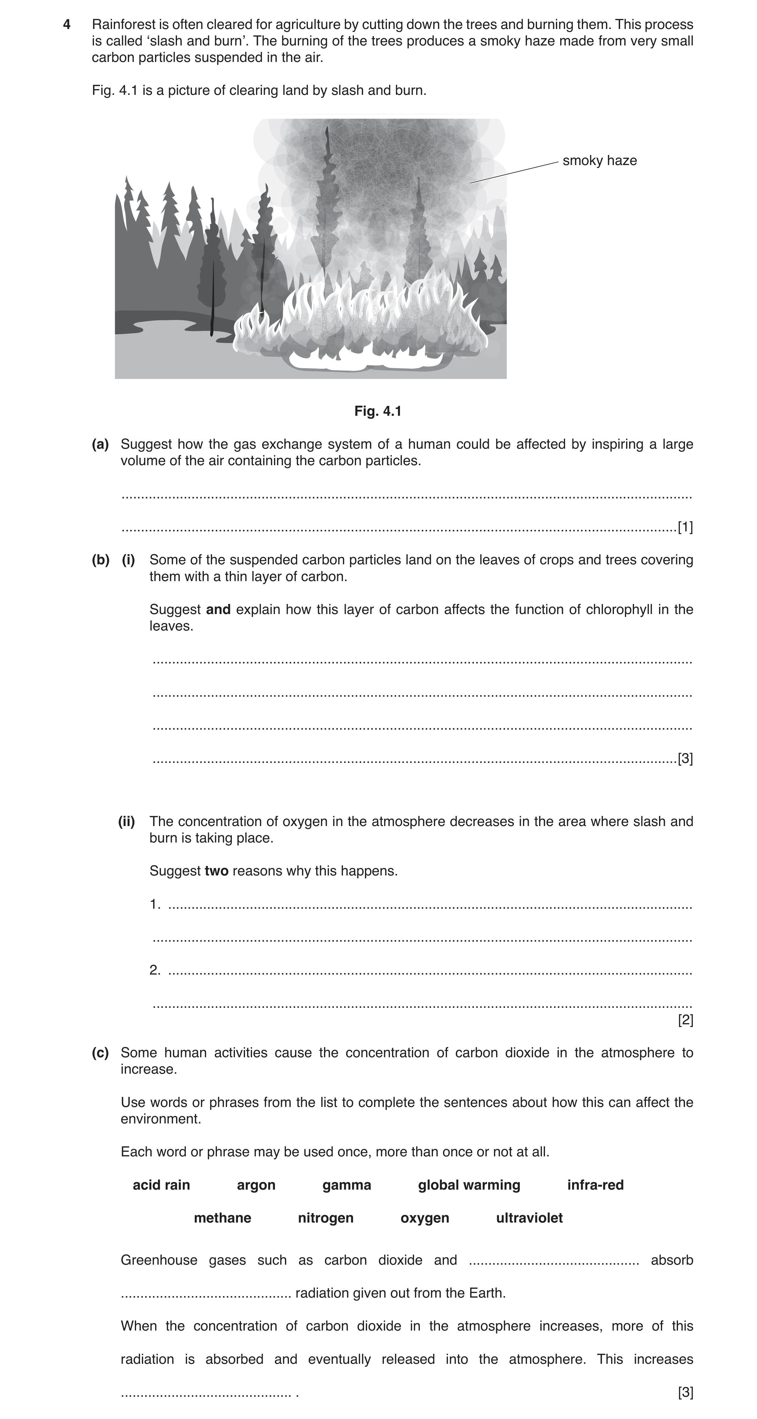 Question 10: Rainforest is often cleared for agriculture by cutting down the trees and burning them. This process is called ‘slash and burn’. The burnin…