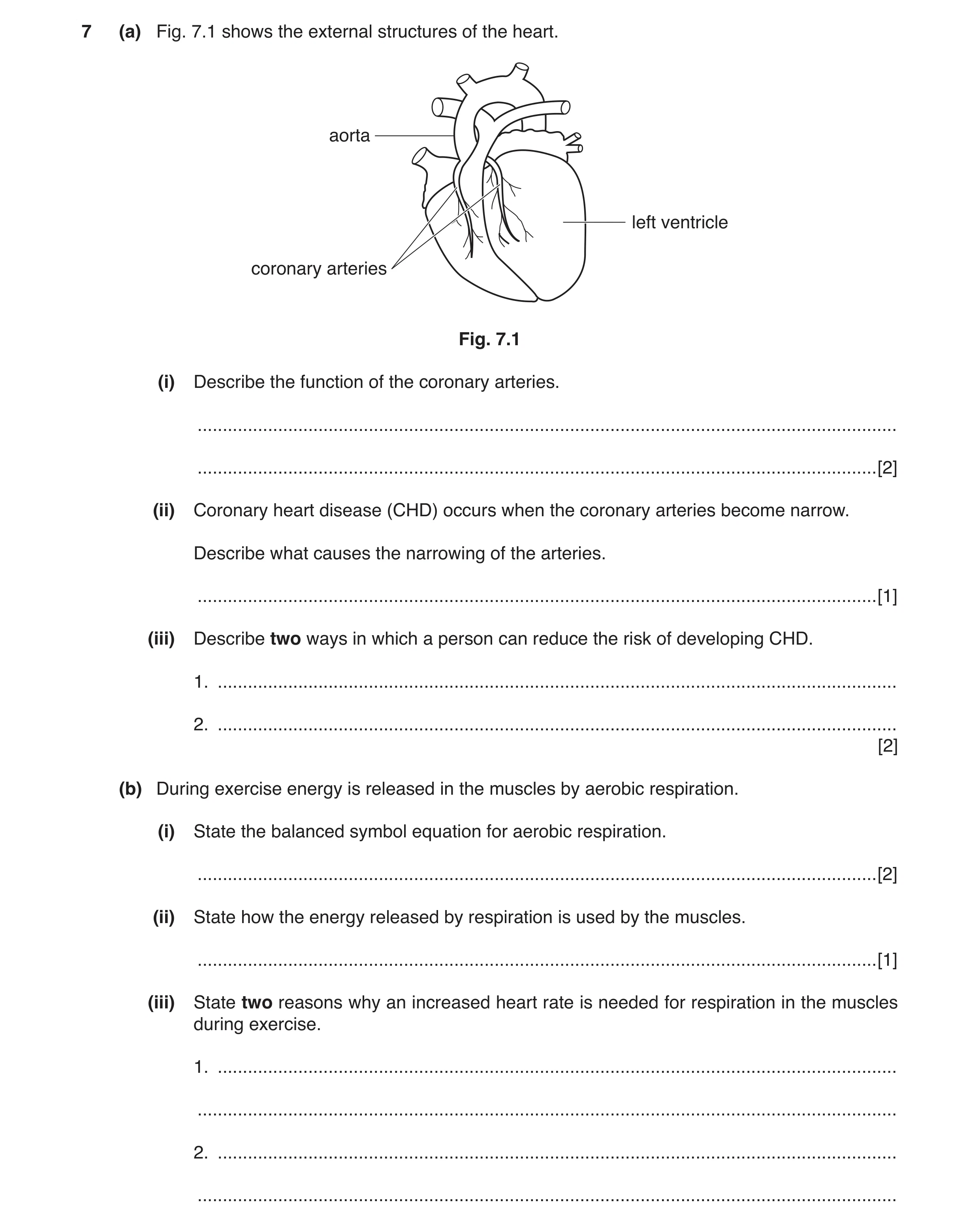 Question 4: (a) Fig. 7.1 shows the external structures of the heart. aorta left ventricle coronary arteries Fig. 7.1 (i) Describe the function of the c…