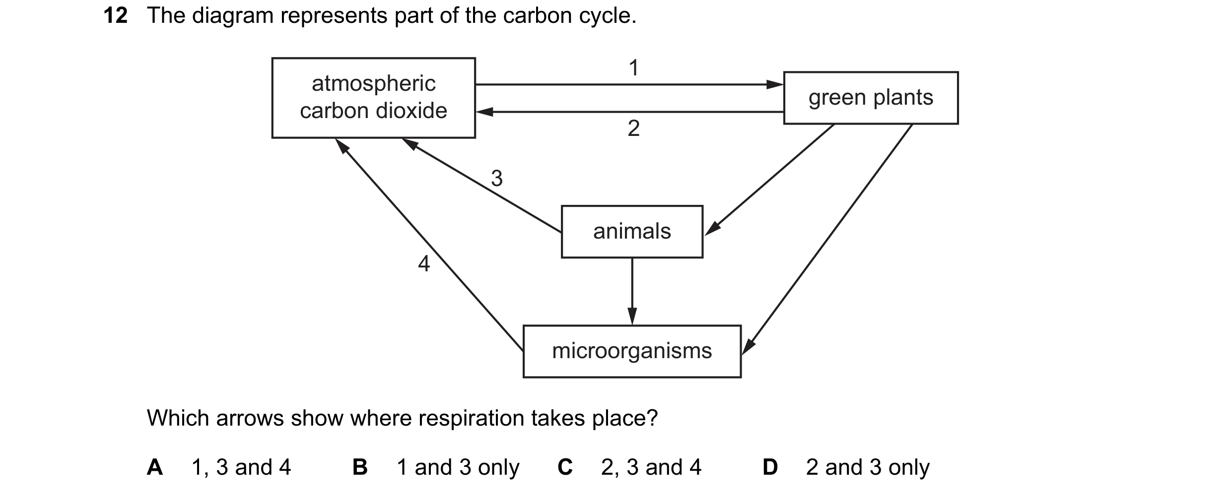 Question 19: The diagram represents part of the carbon cycle. 1 atmospheric green plants carbon dioxide 2 3 animals 4 microorganisms Which arrows show w…