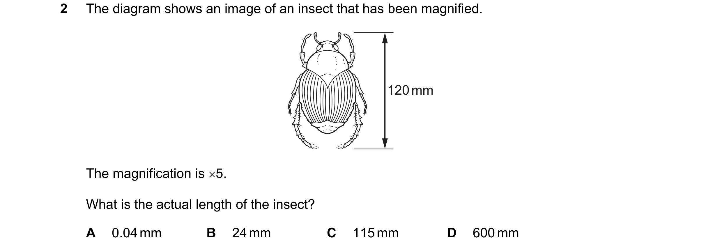 Question 11: The diagram shows an image of an insect that has been magnified. 120 mm The magnification is ×5. What is the actual length of the insect? A…