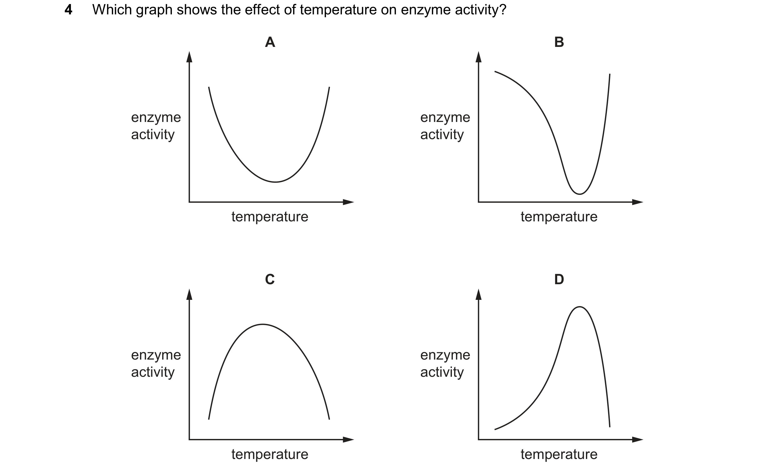 Question 13: Which graph shows the effect of temperature on enzyme activity? A B enzyme enzyme activity activity temperature temperature C D enzyme enzy…