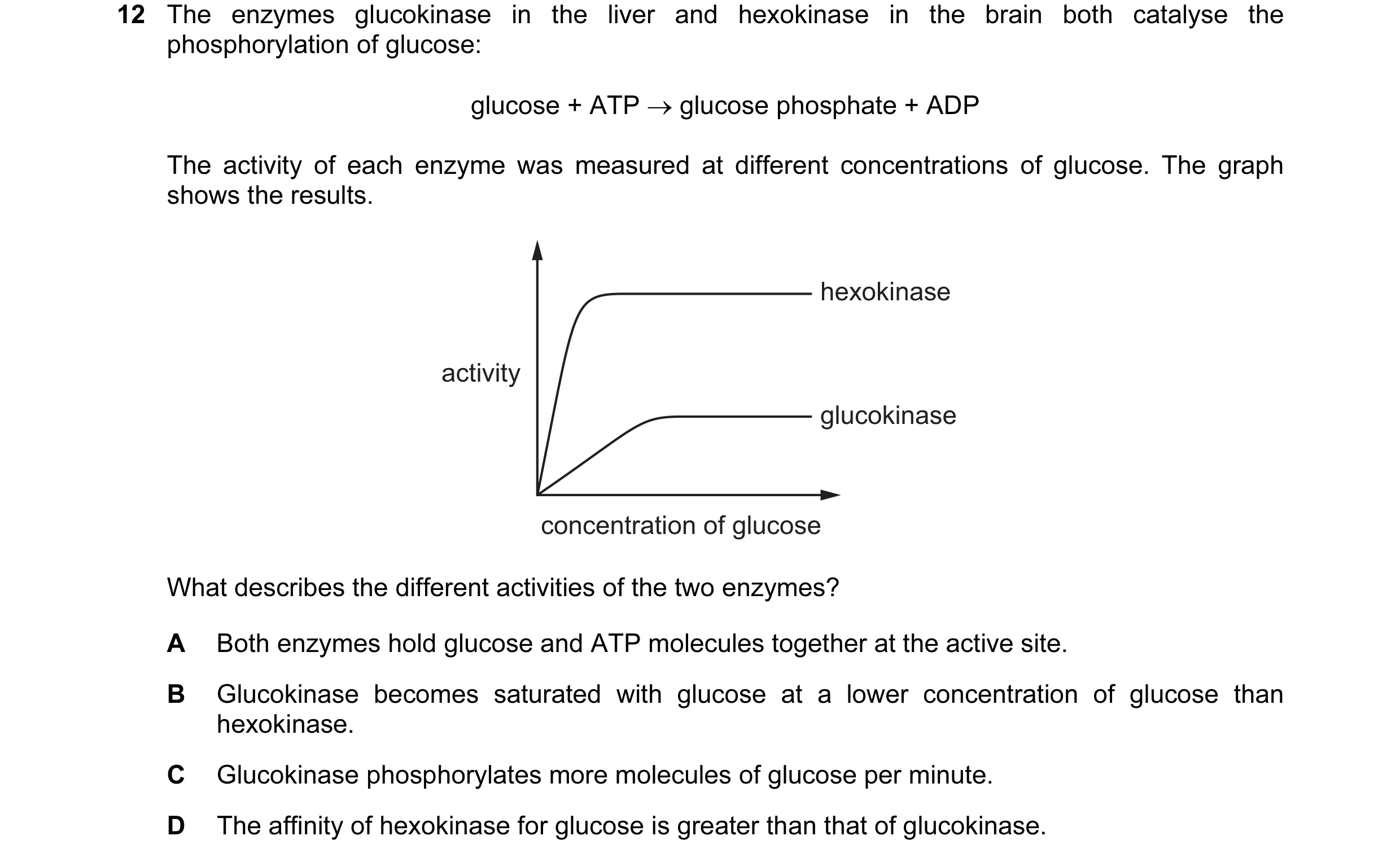 Question 39: The enzymes glucokinase in the liver and hexokinase in the brain both catalyse the phosphorylation of glucose: glucose + ATP → glucose phos…