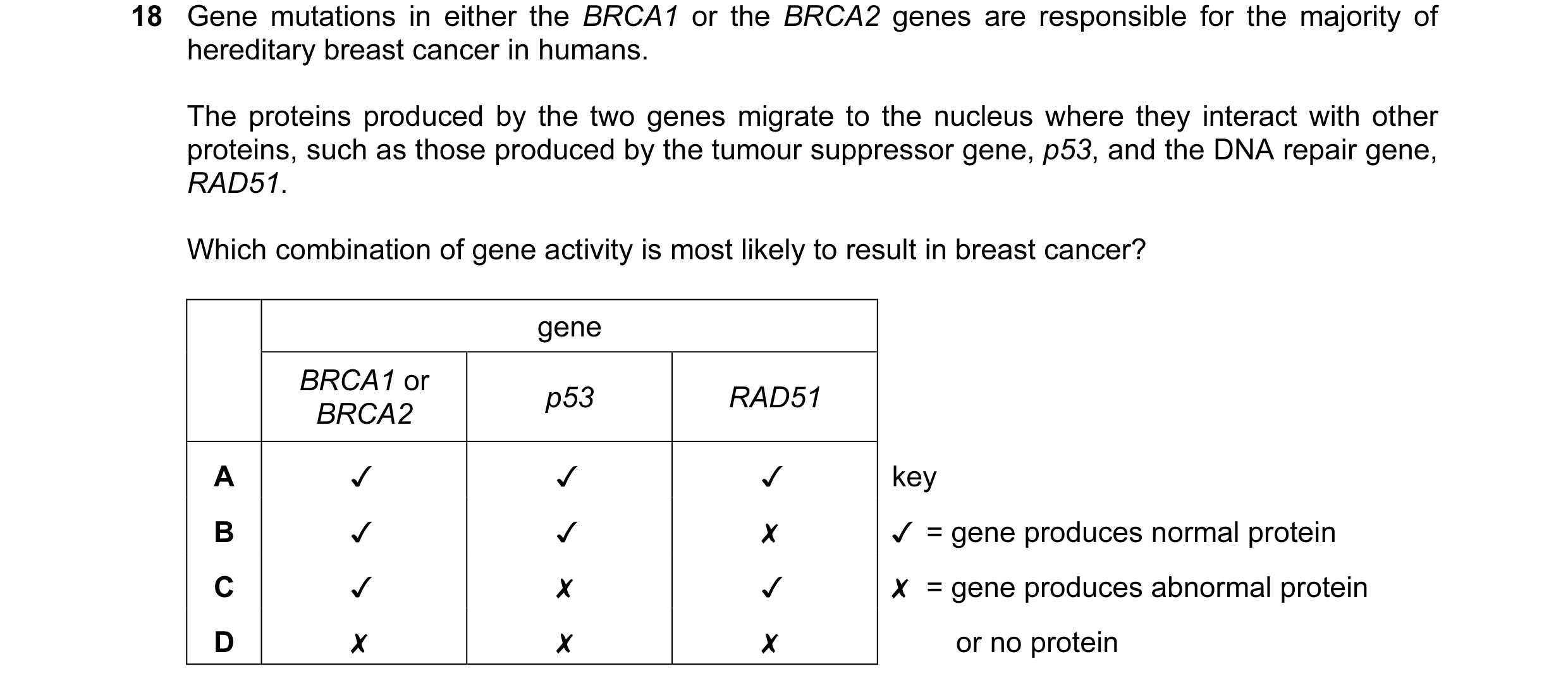 Question 11: Gene mutations in either the BRCA7 or the BRCA2 genes are responsible for the majority of
hereditary breast cancer in humans.
The protein…
